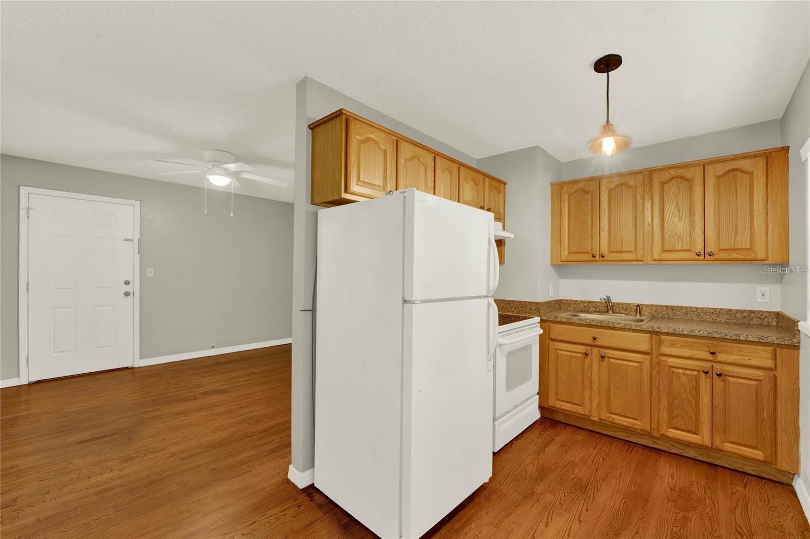 1020 Alba Drive ALBA DR, ORLANDO, FL, 32804