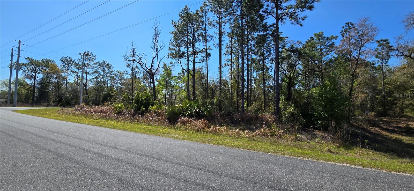 12398 RUFFED GROUSE RD, WEEKI WACHEE, FL, 34614