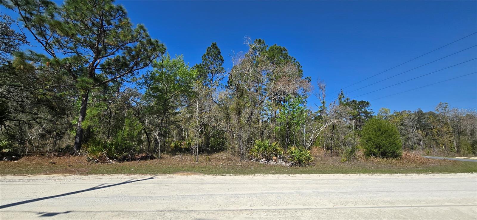 12398 RUFFED GROUSE RD, WEEKI WACHEE, FL, 34614