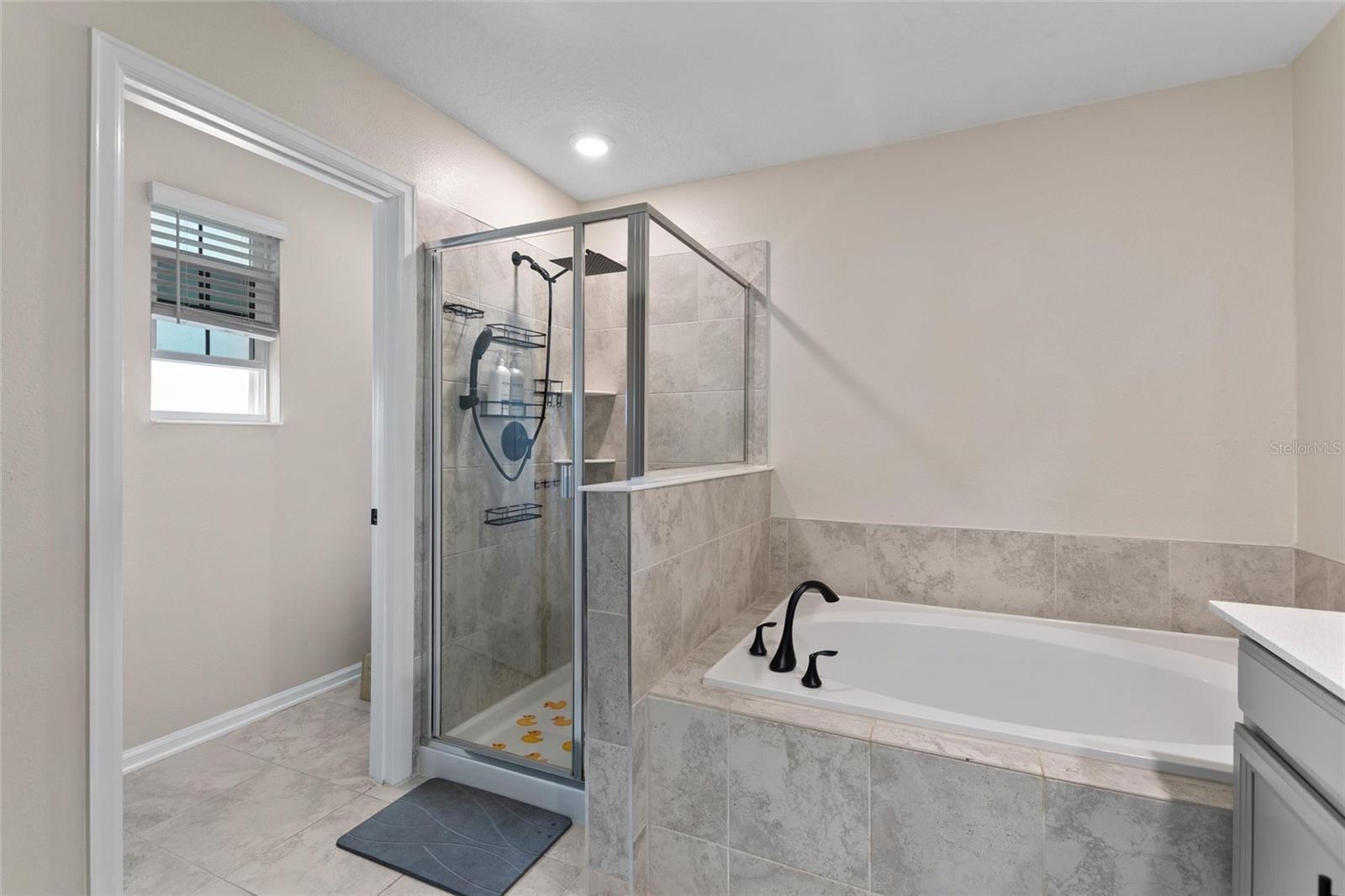 8995 FLUFFY LIE CT, DAVENPORT, FL, 33896