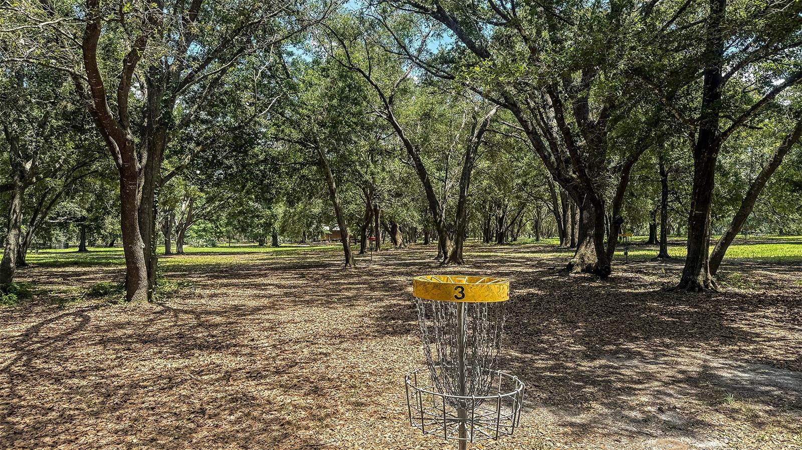 7480 SANDSTONE DR, GROVELAND, FL, 34736