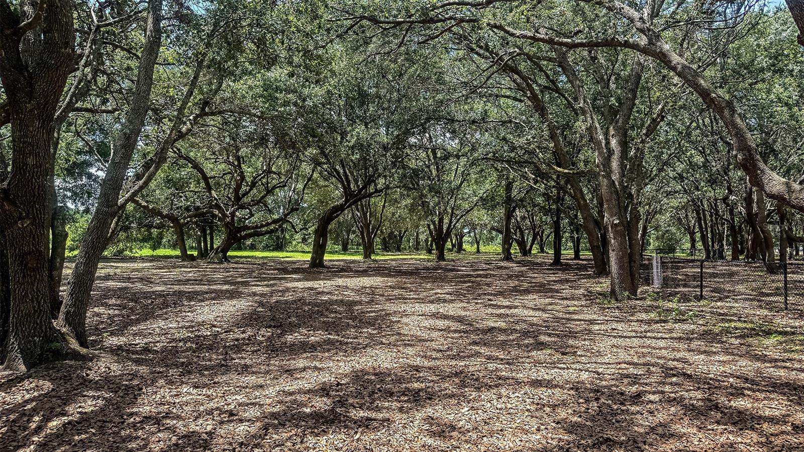 7480 SANDSTONE DR, GROVELAND, FL, 34736