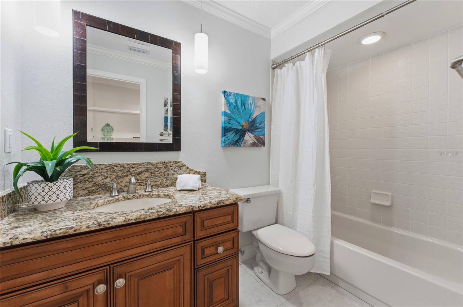 8701 TANTALLON CIR, TAMPA, FL, 33647