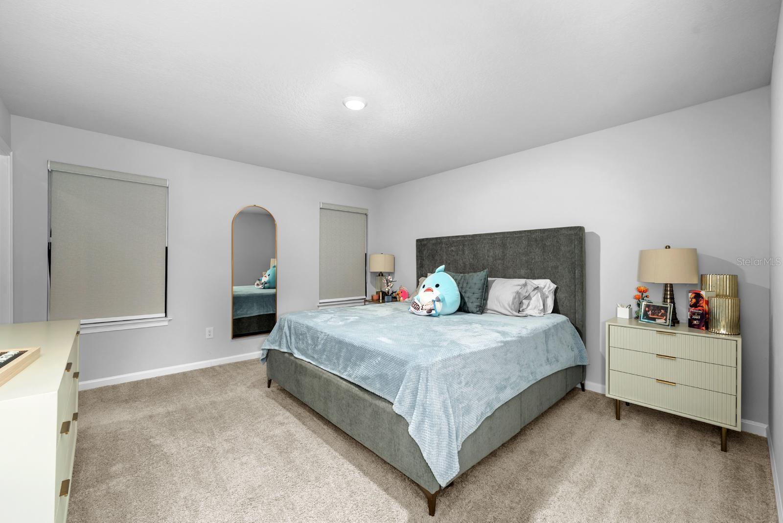 4236 CLOUD HOPPER WAY, LUTZ, FL, 33559