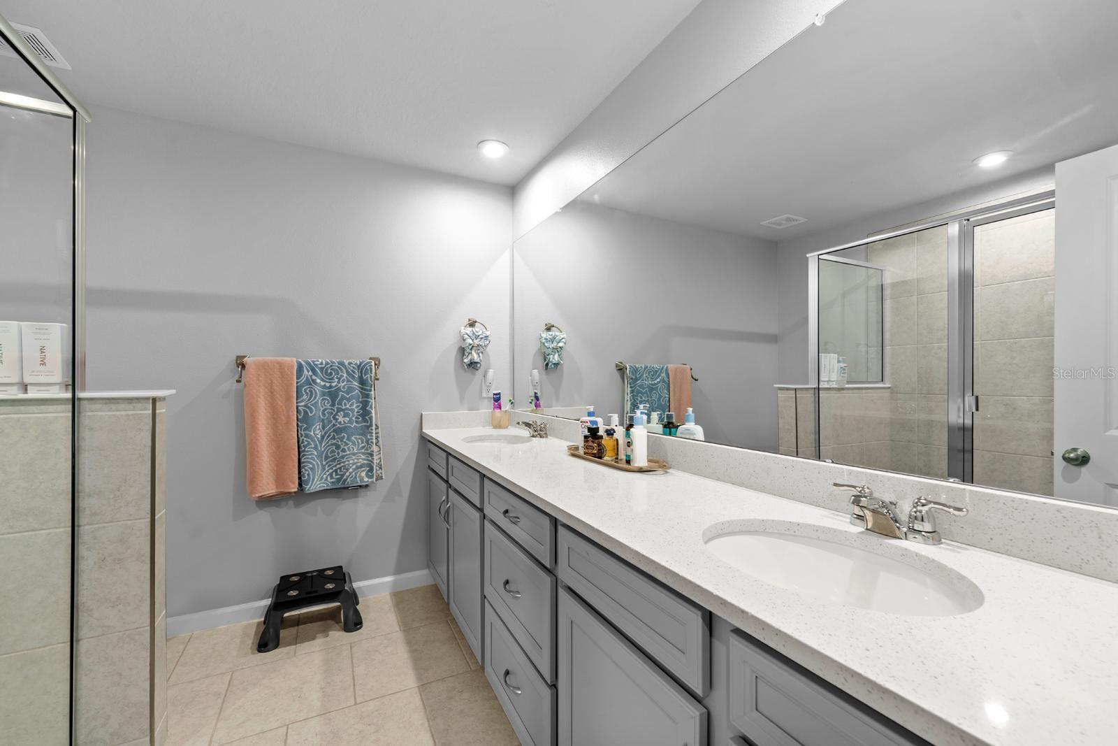 4236 CLOUD HOPPER WAY, LUTZ, FL, 33559