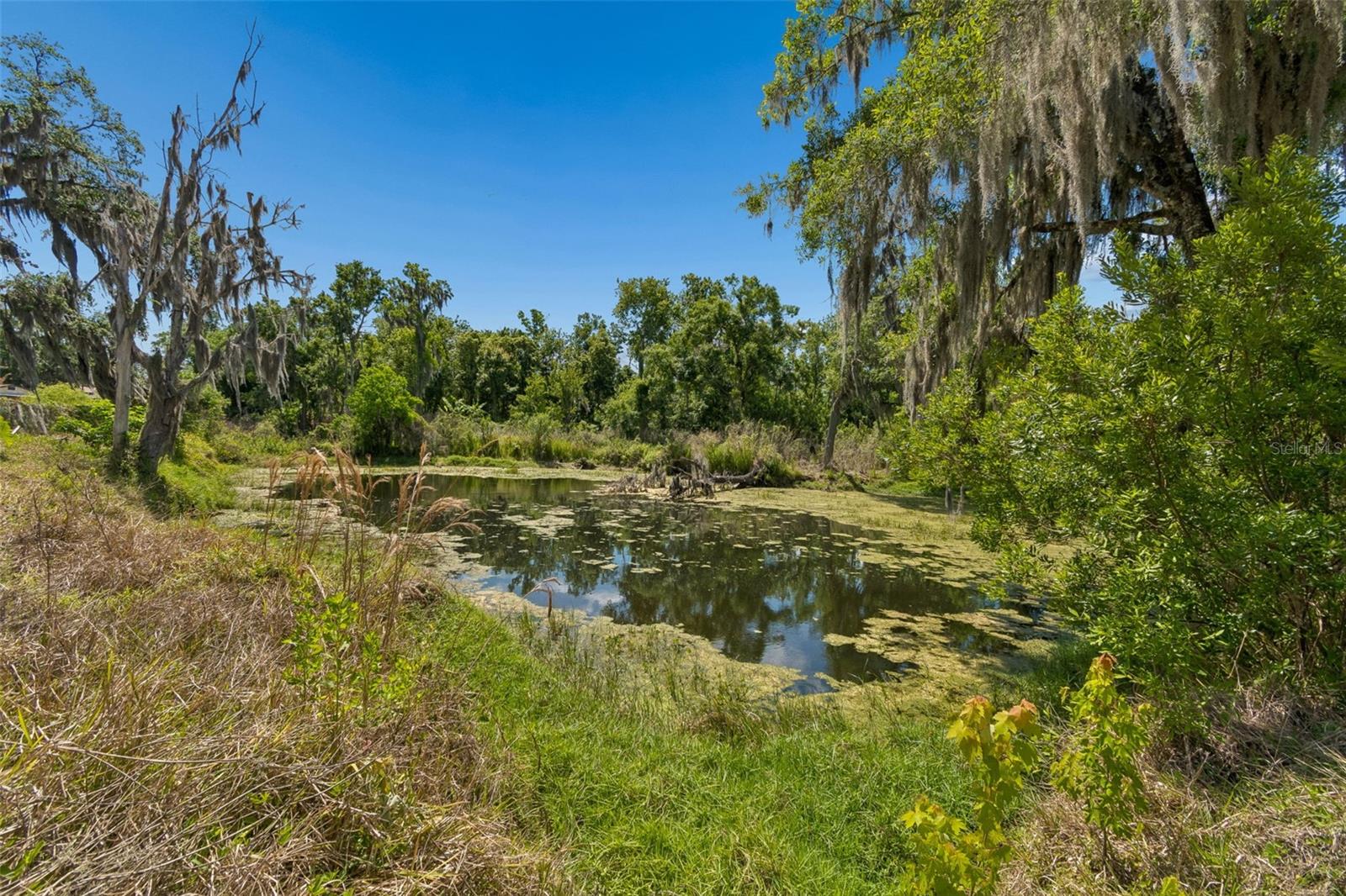 212 CRYSTAL LAKE RD, LUTZ, FL, 33548