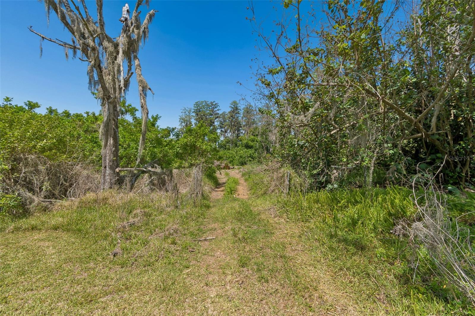 212 CRYSTAL LAKE RD, LUTZ, FL, 33548