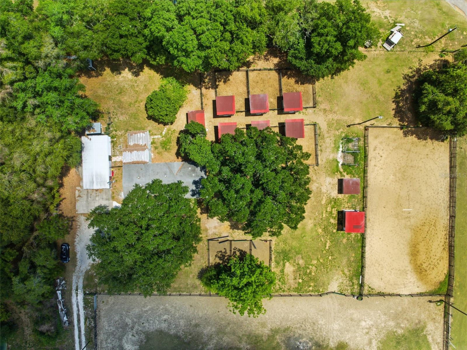 8606 BOYT RD, ZEPHYRHILLS, FL, 33540