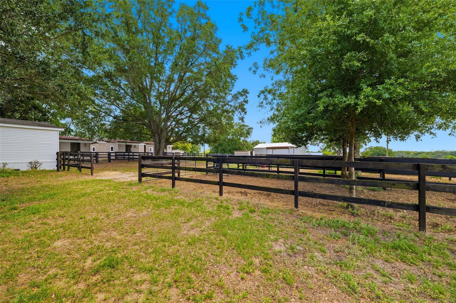 8606 BOYT RD, ZEPHYRHILLS, FL, 33540