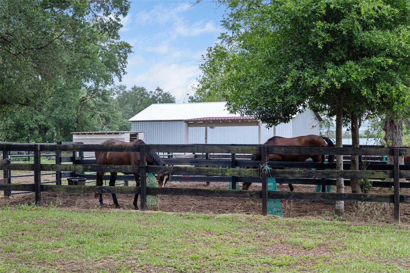 8606 BOYT RD, ZEPHYRHILLS, FL, 33540