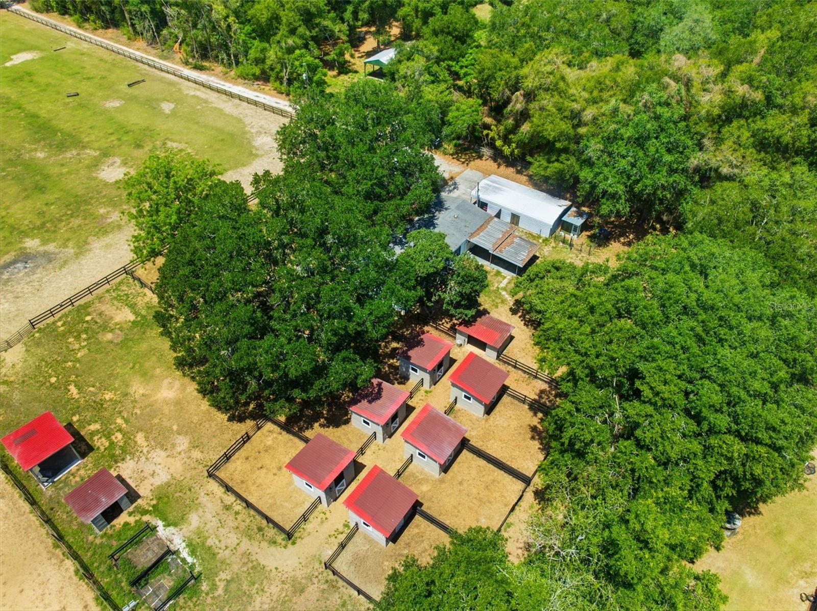 8606 BOYT RD, ZEPHYRHILLS, FL, 33540