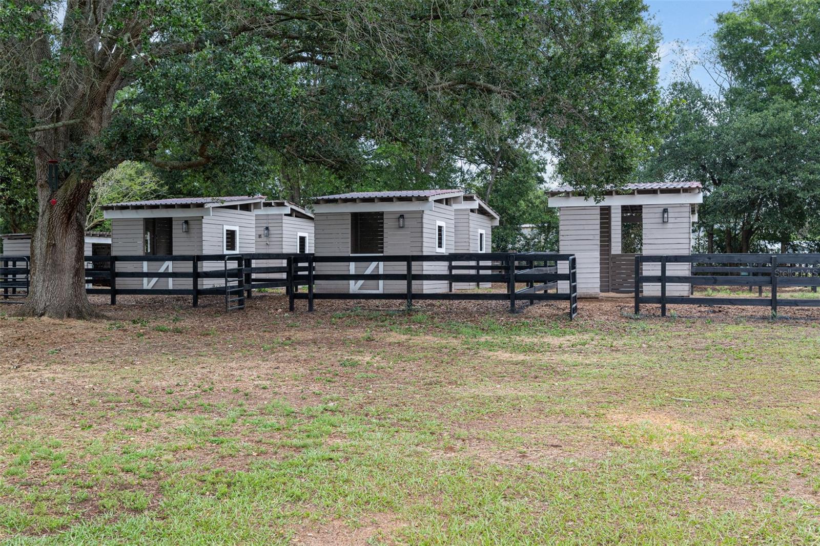 8606 BOYT RD, ZEPHYRHILLS, FL, 33540