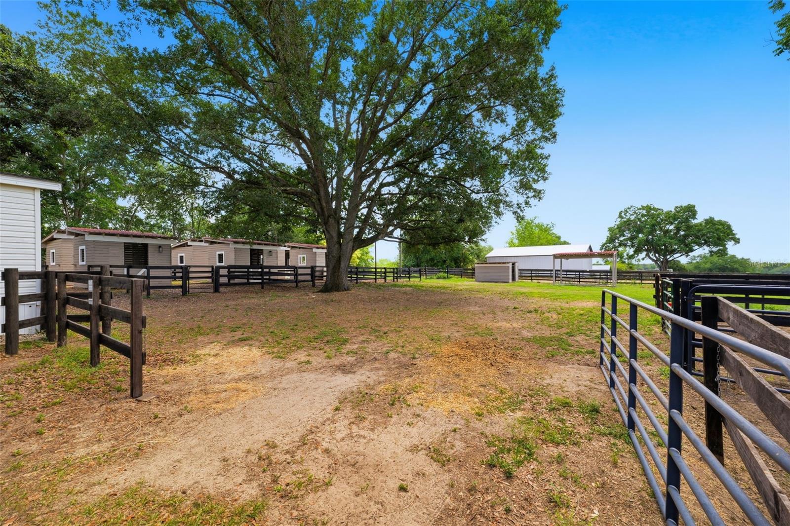 8606 BOYT RD, ZEPHYRHILLS, FL, 33540