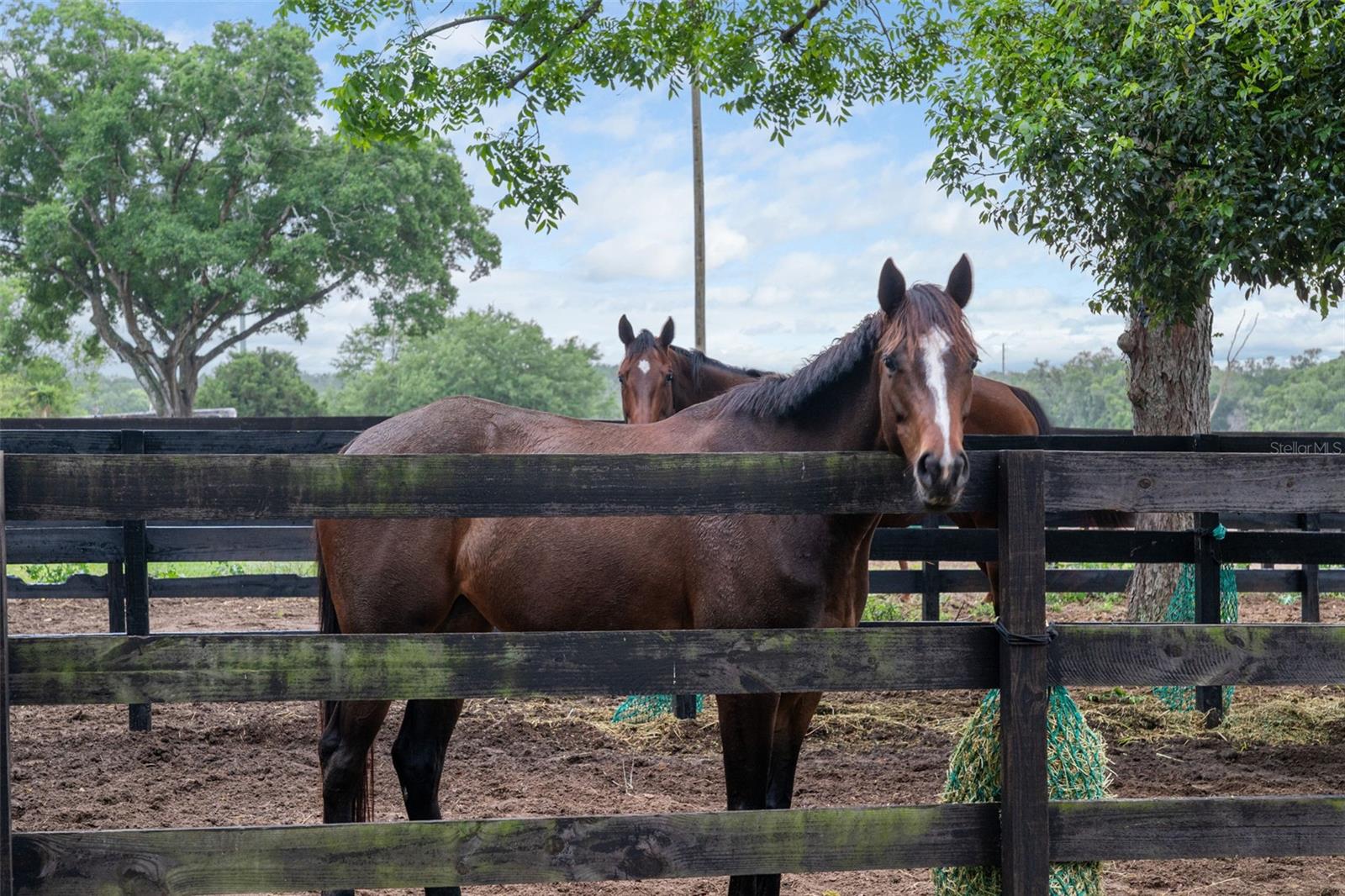 8606 BOYT RD, ZEPHYRHILLS, FL, 33540