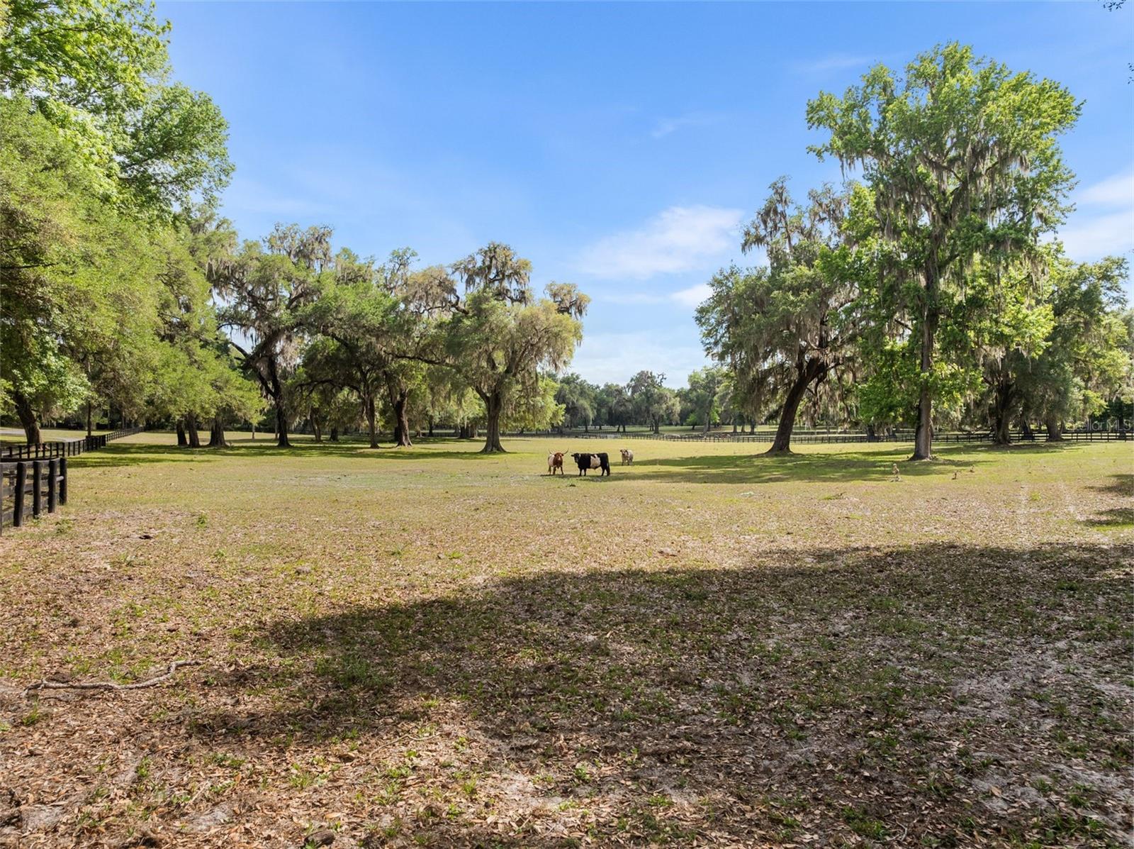 17995 NE 24TH TER, CITRA, FL, 32113