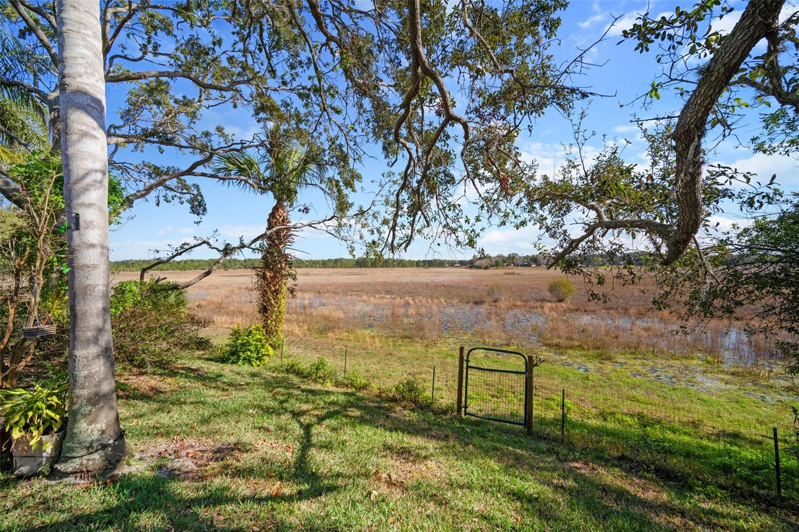 1472 IVYDALE RD, SPRING HILL, FL, 34606