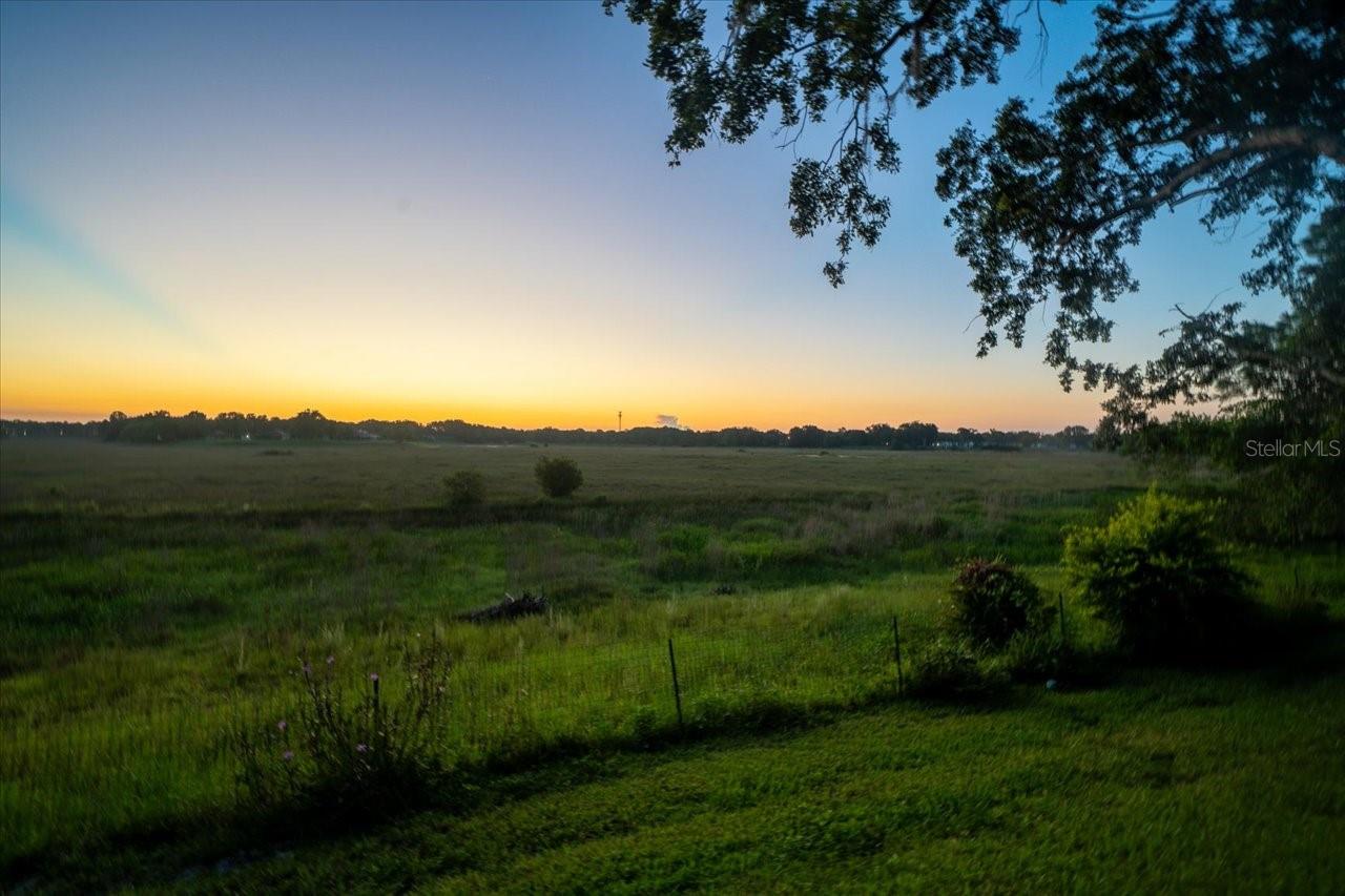 1472 IVYDALE RD, SPRING HILL, FL, 34606