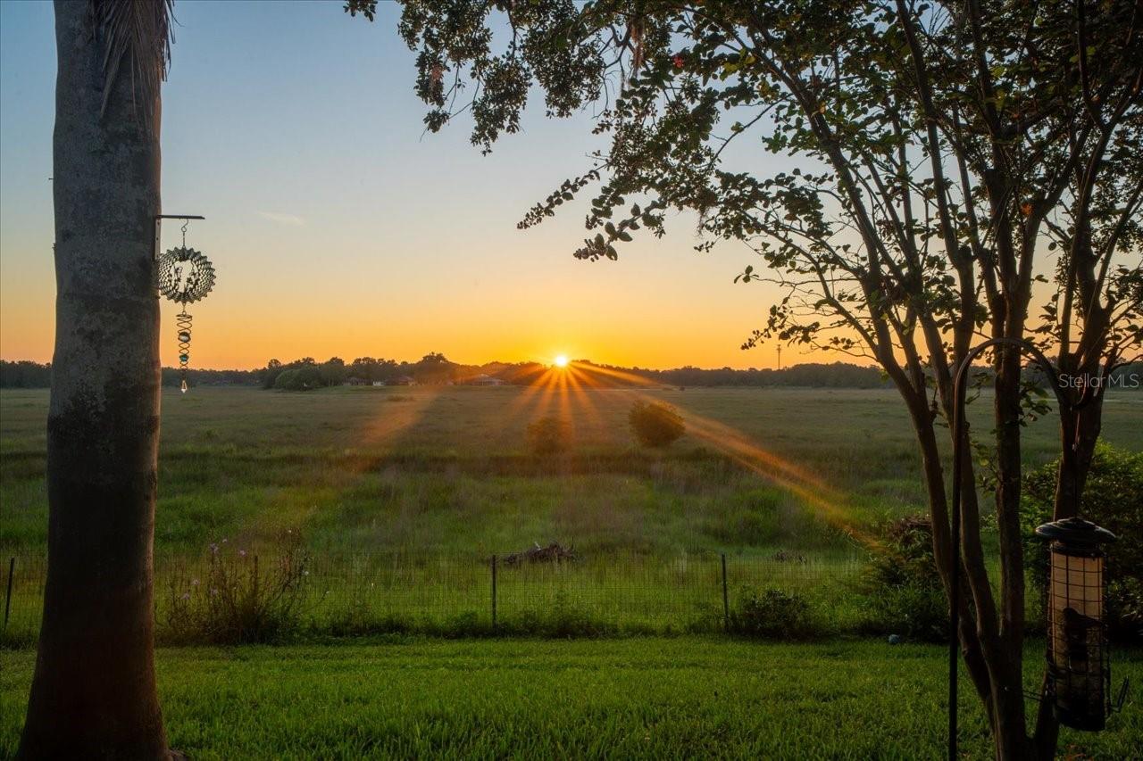 1472 IVYDALE RD, SPRING HILL, FL, 34606