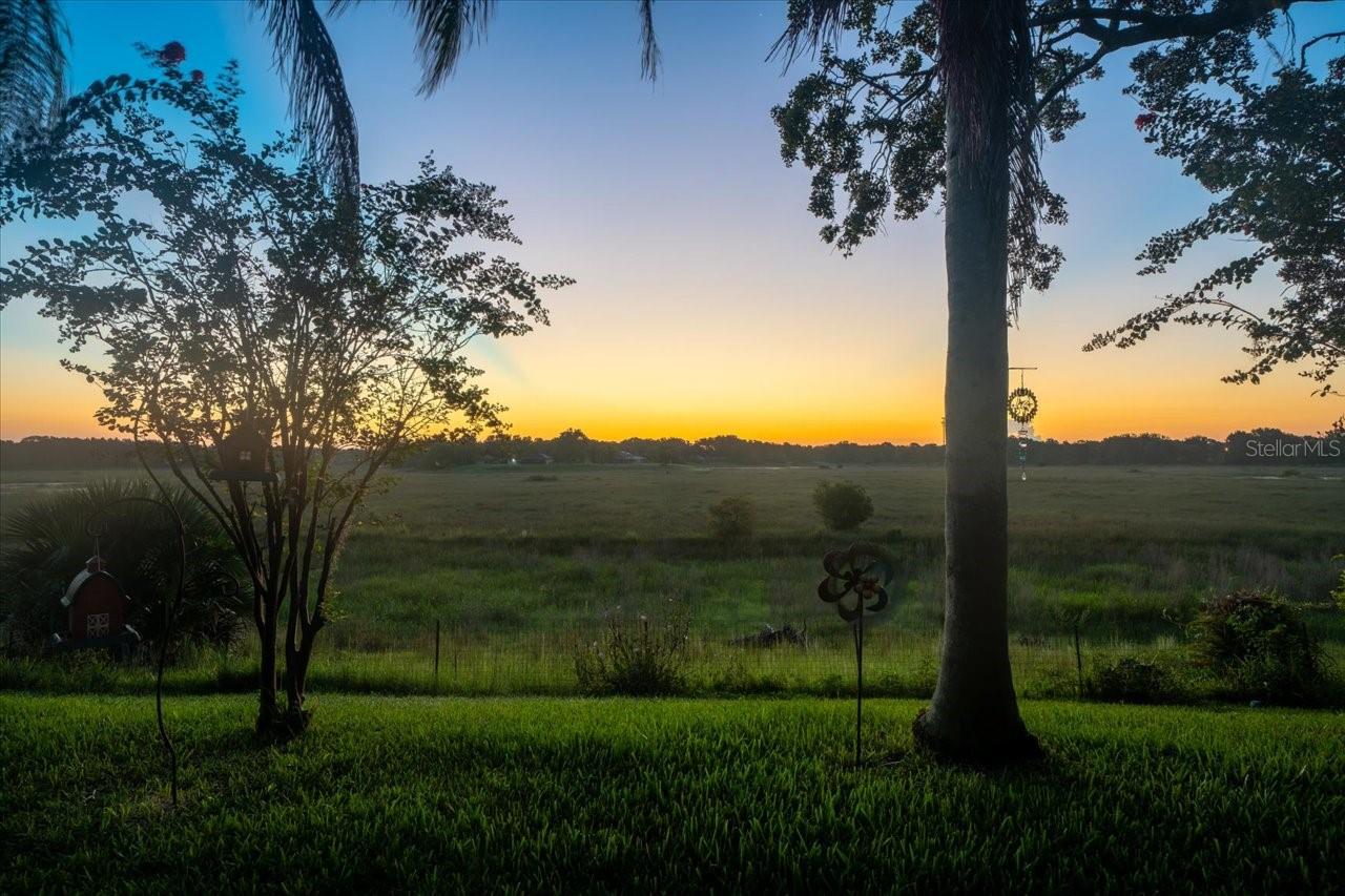 1472 IVYDALE RD, SPRING HILL, FL, 34606