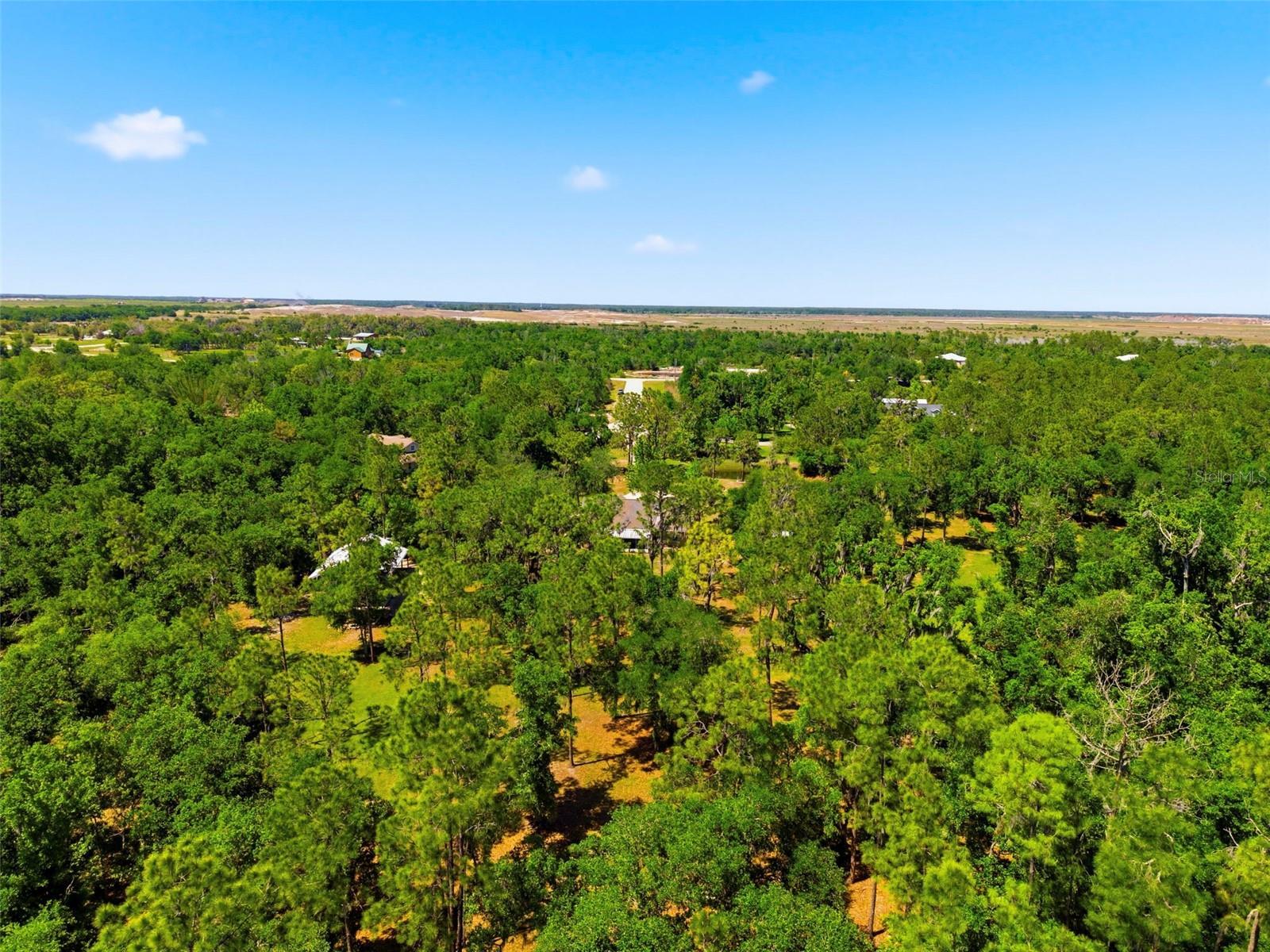 1115 410TH CT E, MYAKKA CITY, FL, 34251