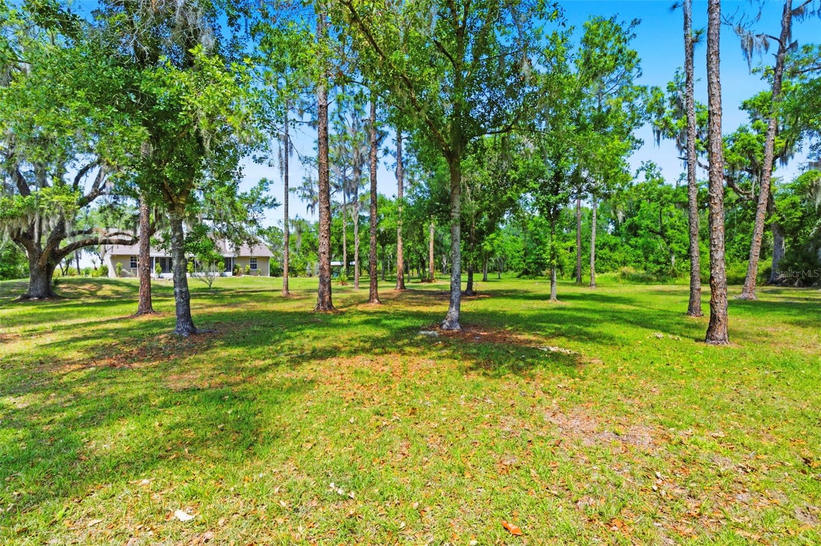 1115 410TH CT E, MYAKKA CITY, FL, 34251