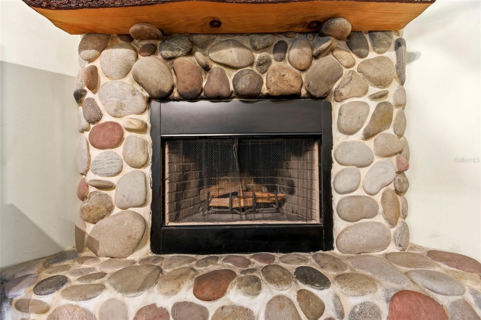 1115 410TH CT E, MYAKKA CITY, FL, 34251