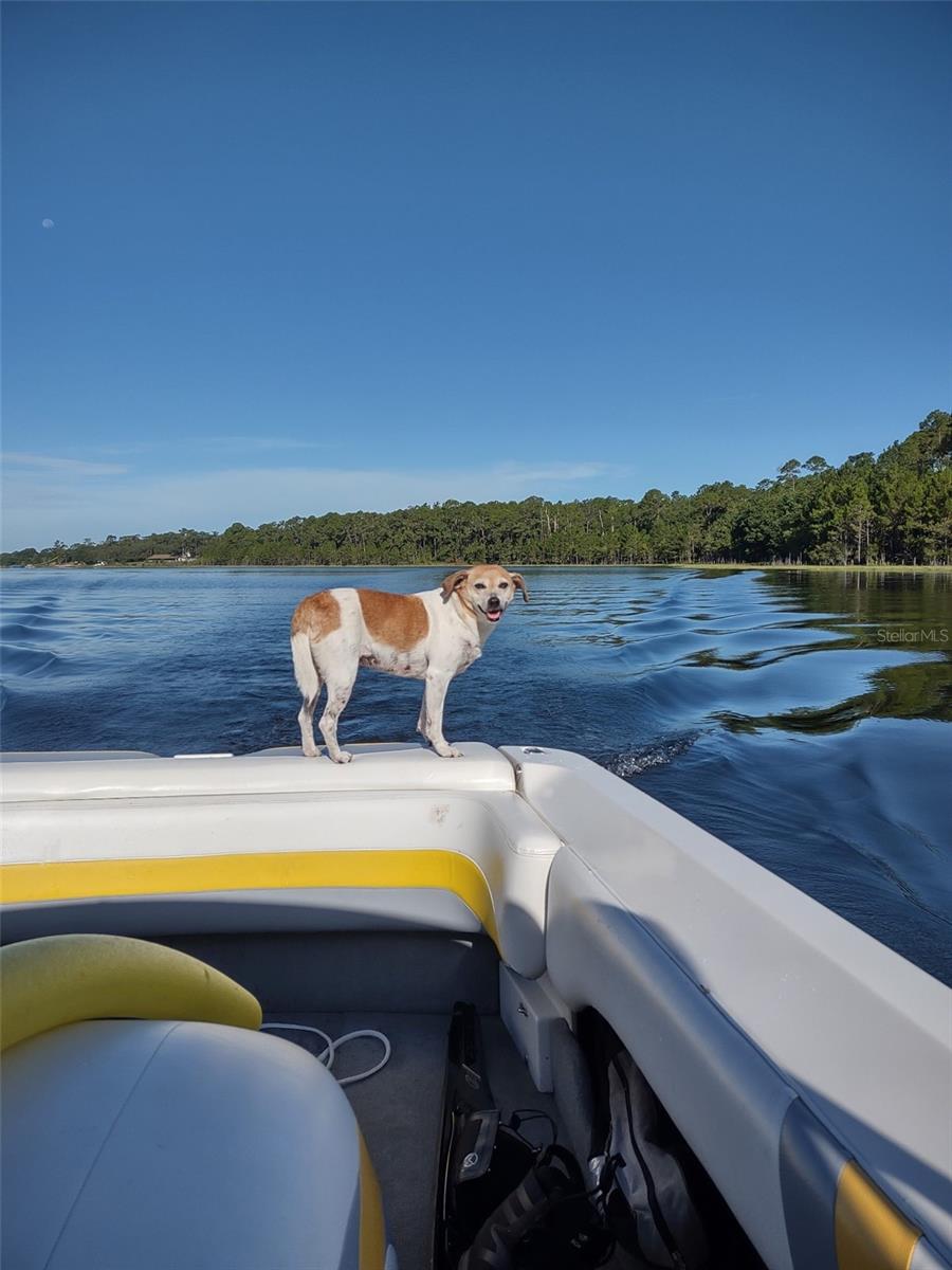 1403 BLACKWELDER RD, DE LEON SPRINGS, FL, 32130