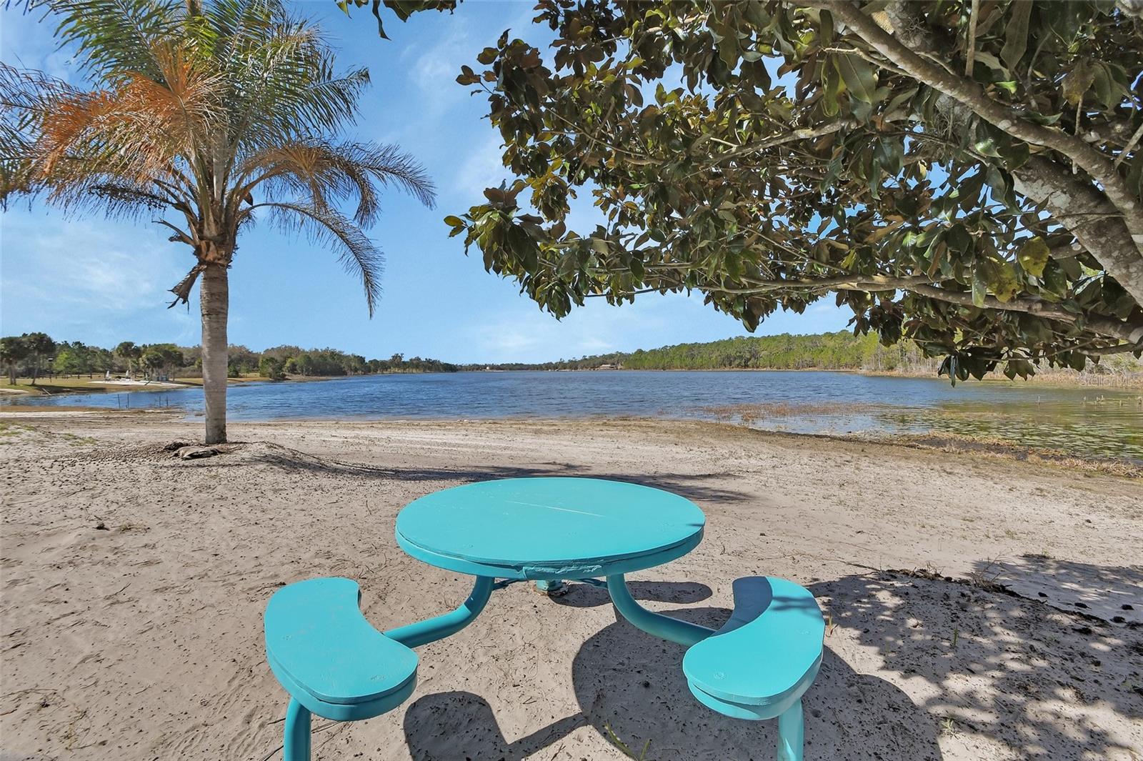 1403 BLACKWELDER RD, DE LEON SPRINGS, FL, 32130