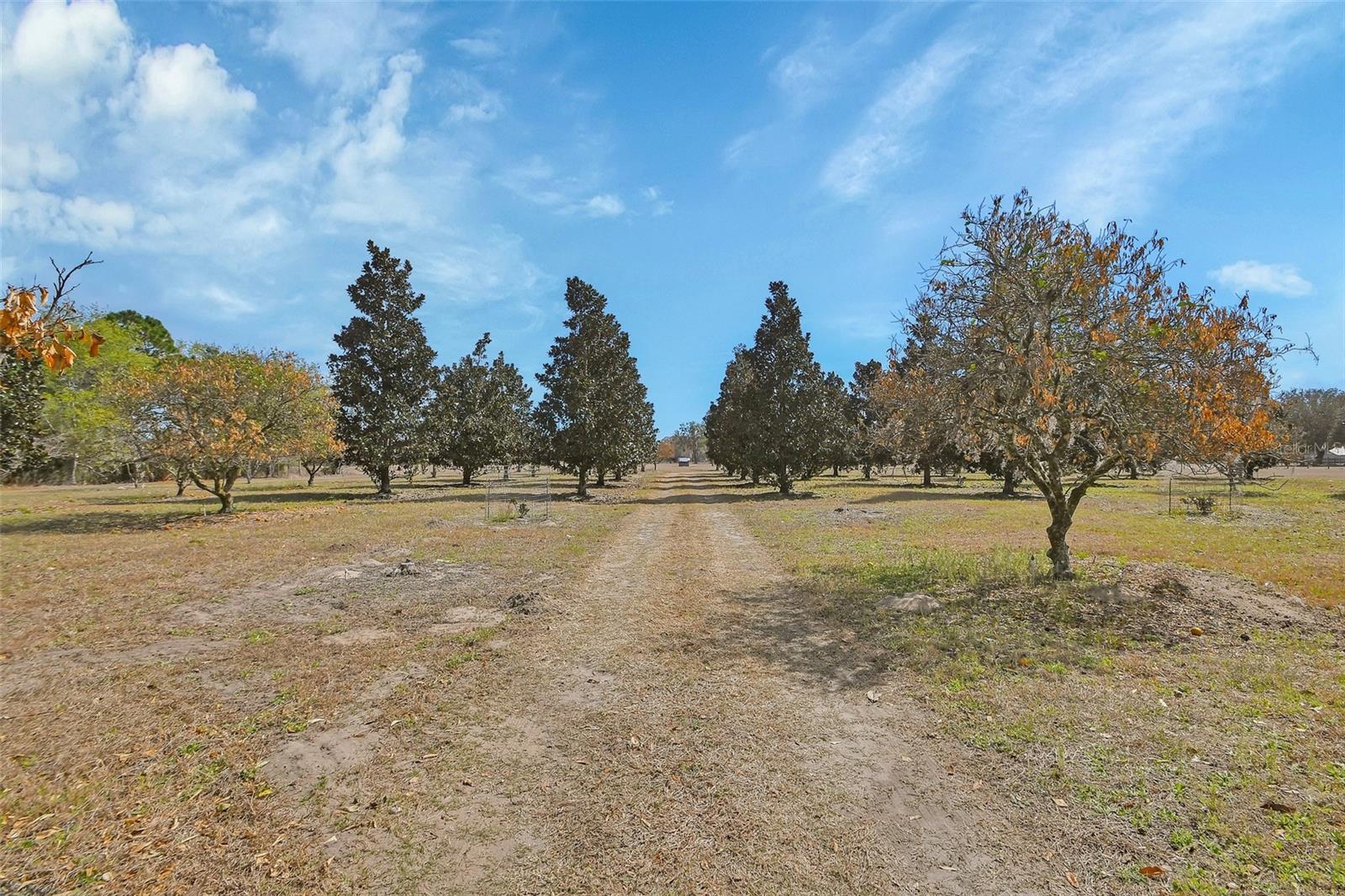 1403 BLACKWELDER RD, DE LEON SPRINGS, FL, 32130