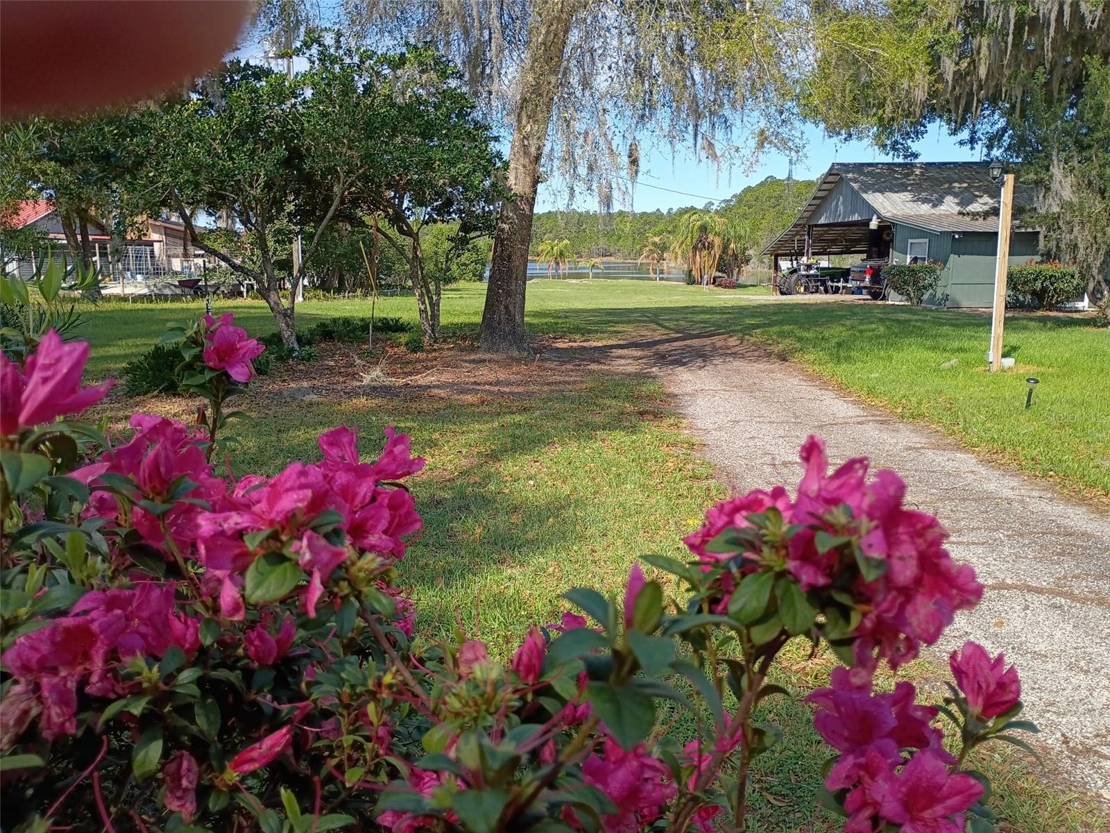 1403 BLACKWELDER RD, DE LEON SPRINGS, FL, 32130