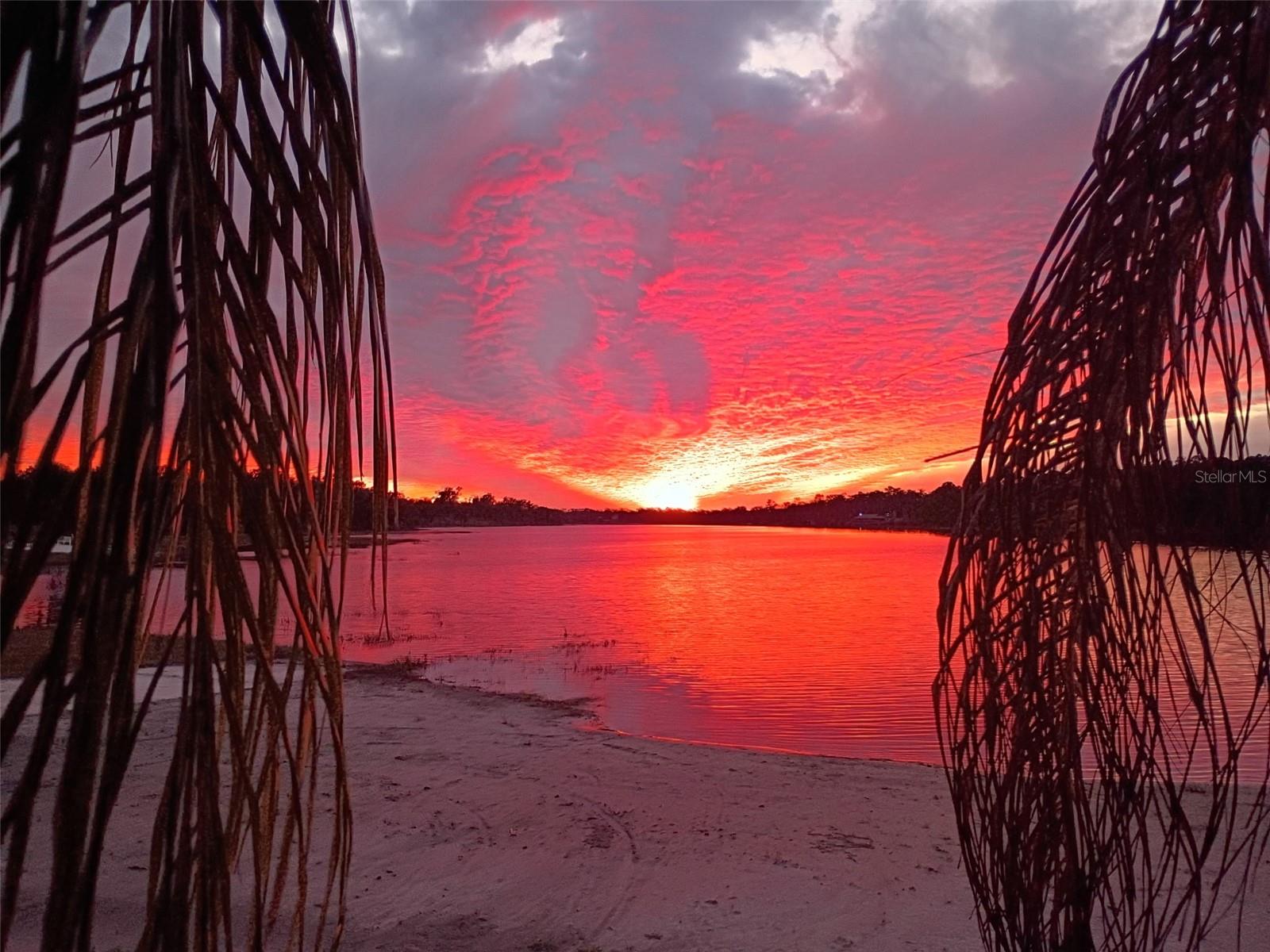 1403 BLACKWELDER RD, DE LEON SPRINGS, FL, 32130