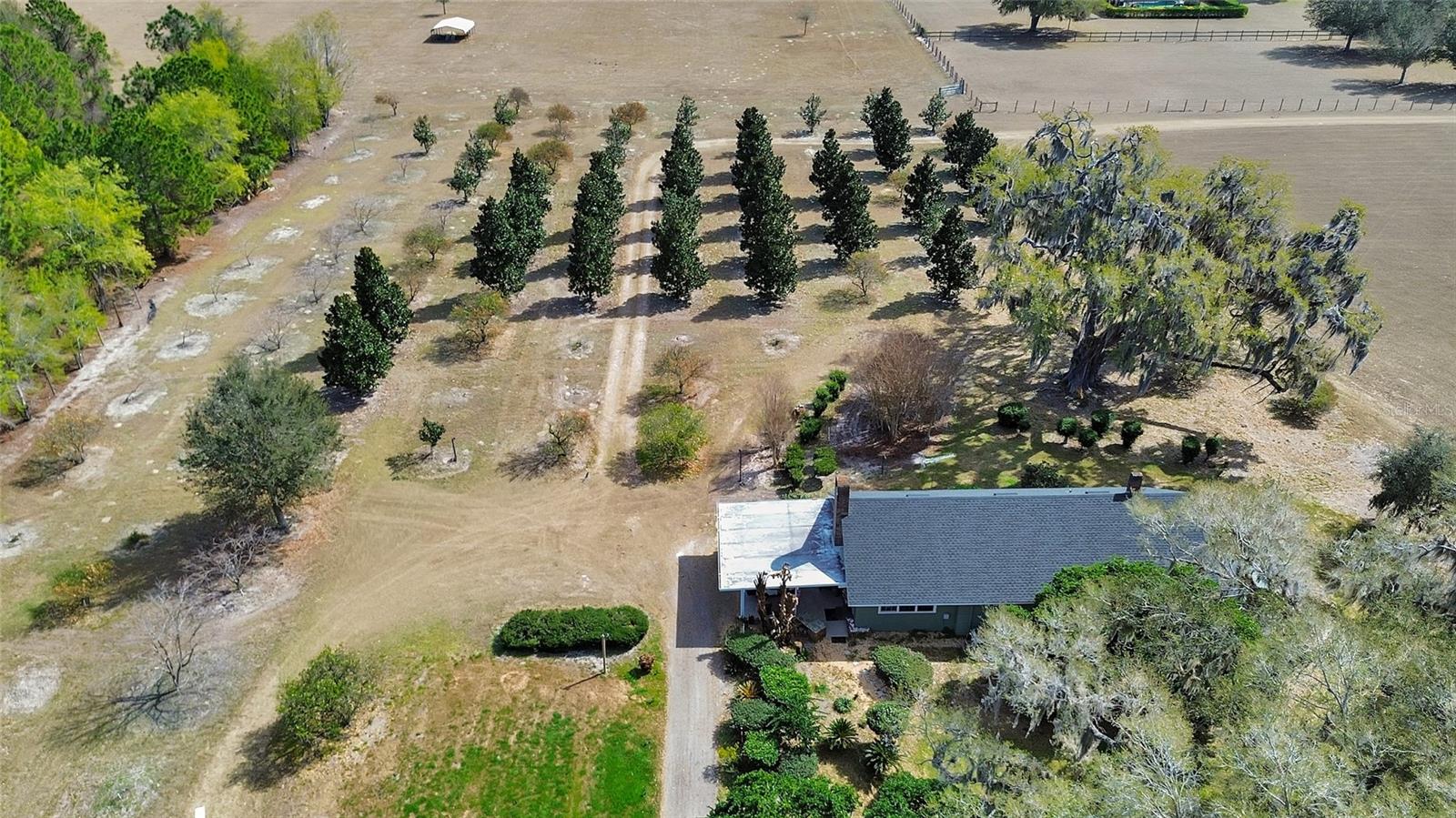 1403 BLACKWELDER RD, DE LEON SPRINGS, FL, 32130