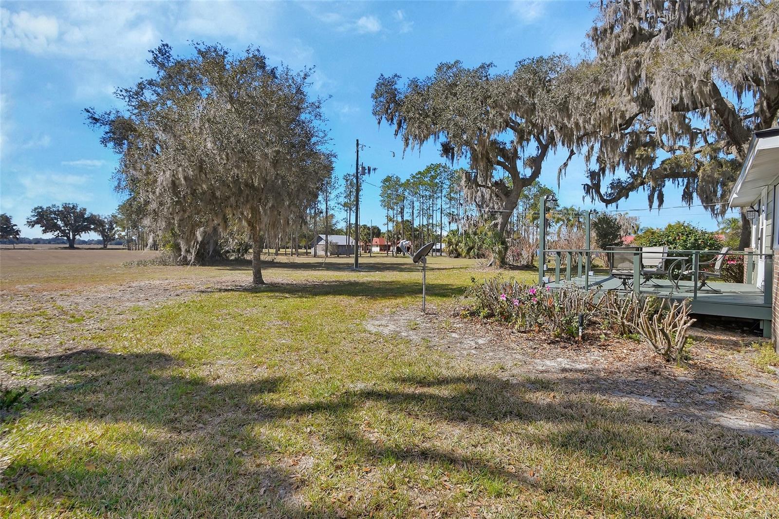 1403 BLACKWELDER RD, DE LEON SPRINGS, FL, 32130