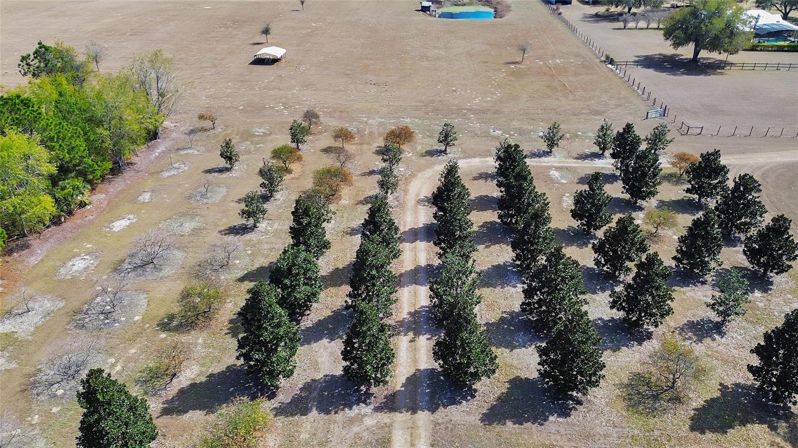 1403 BLACKWELDER RD, DE LEON SPRINGS, FL, 32130