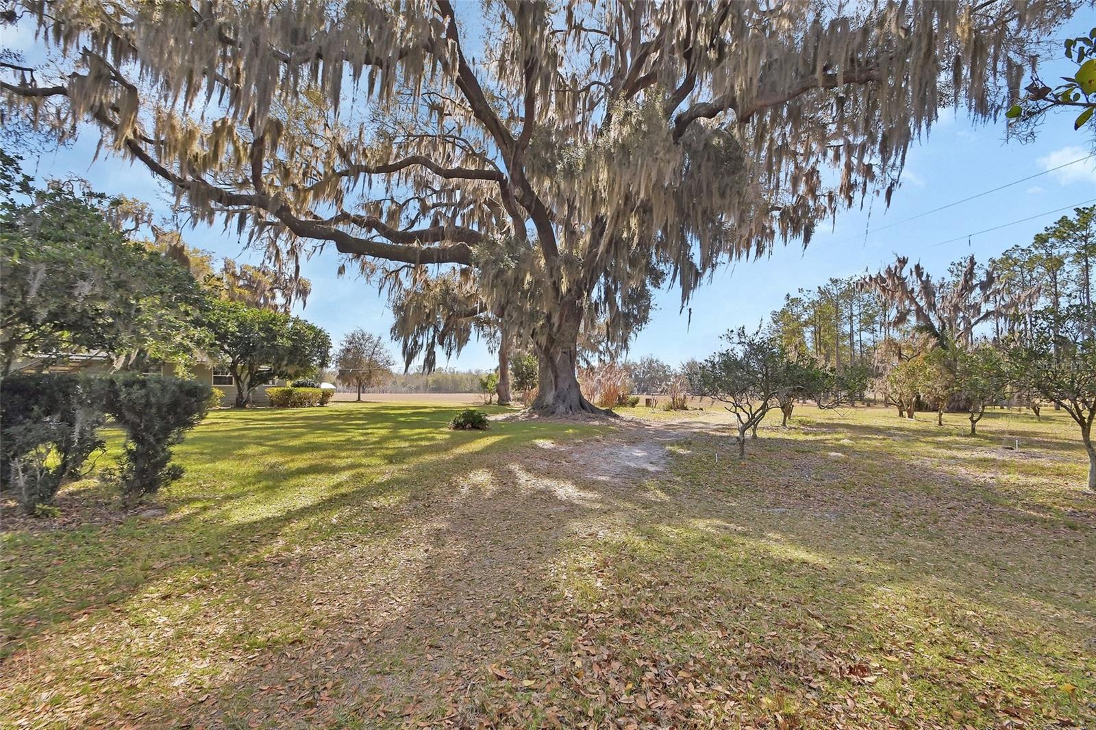 1403 BLACKWELDER RD, DE LEON SPRINGS, FL, 32130