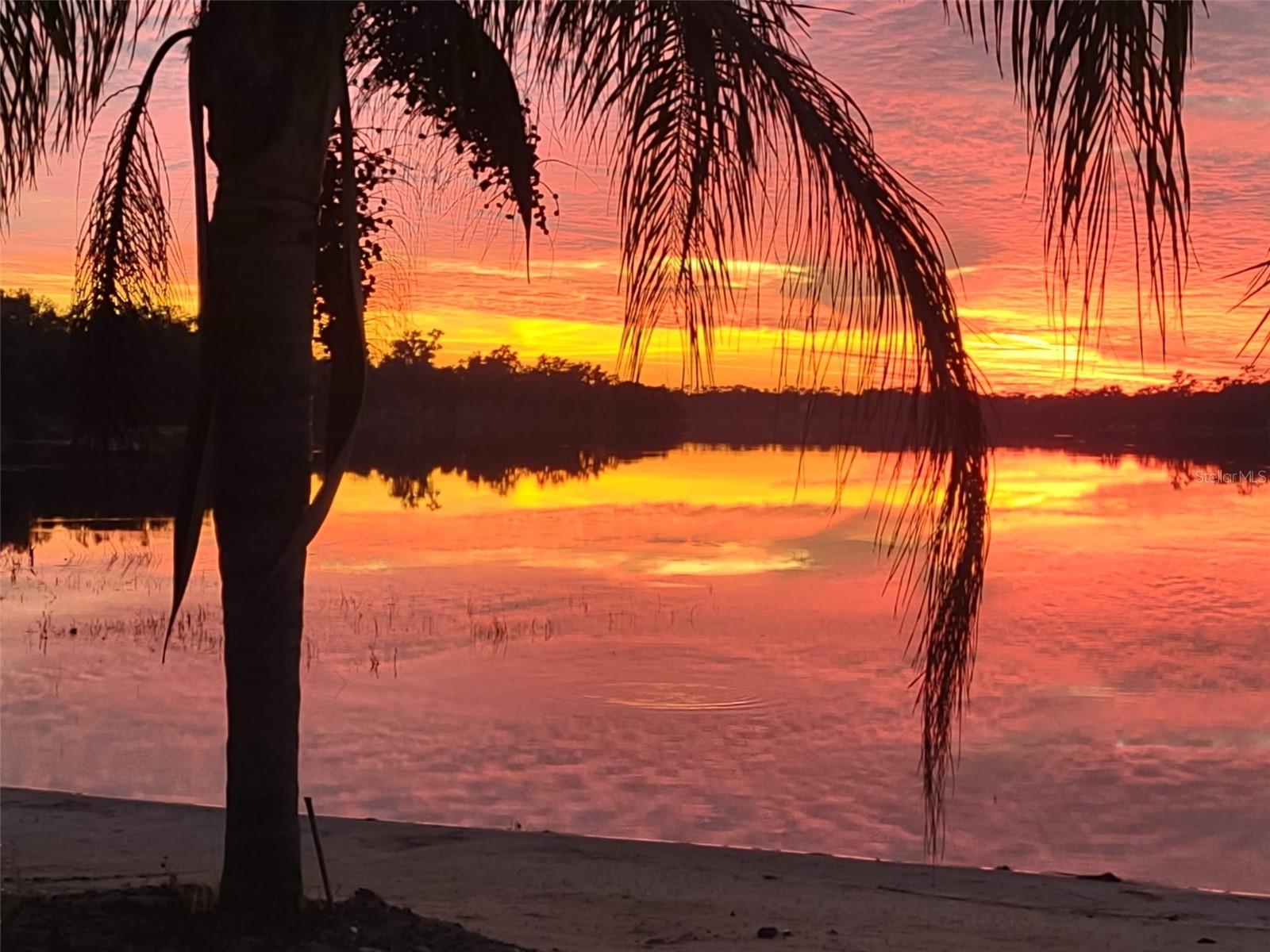 1403 BLACKWELDER RD, DE LEON SPRINGS, FL, 32130