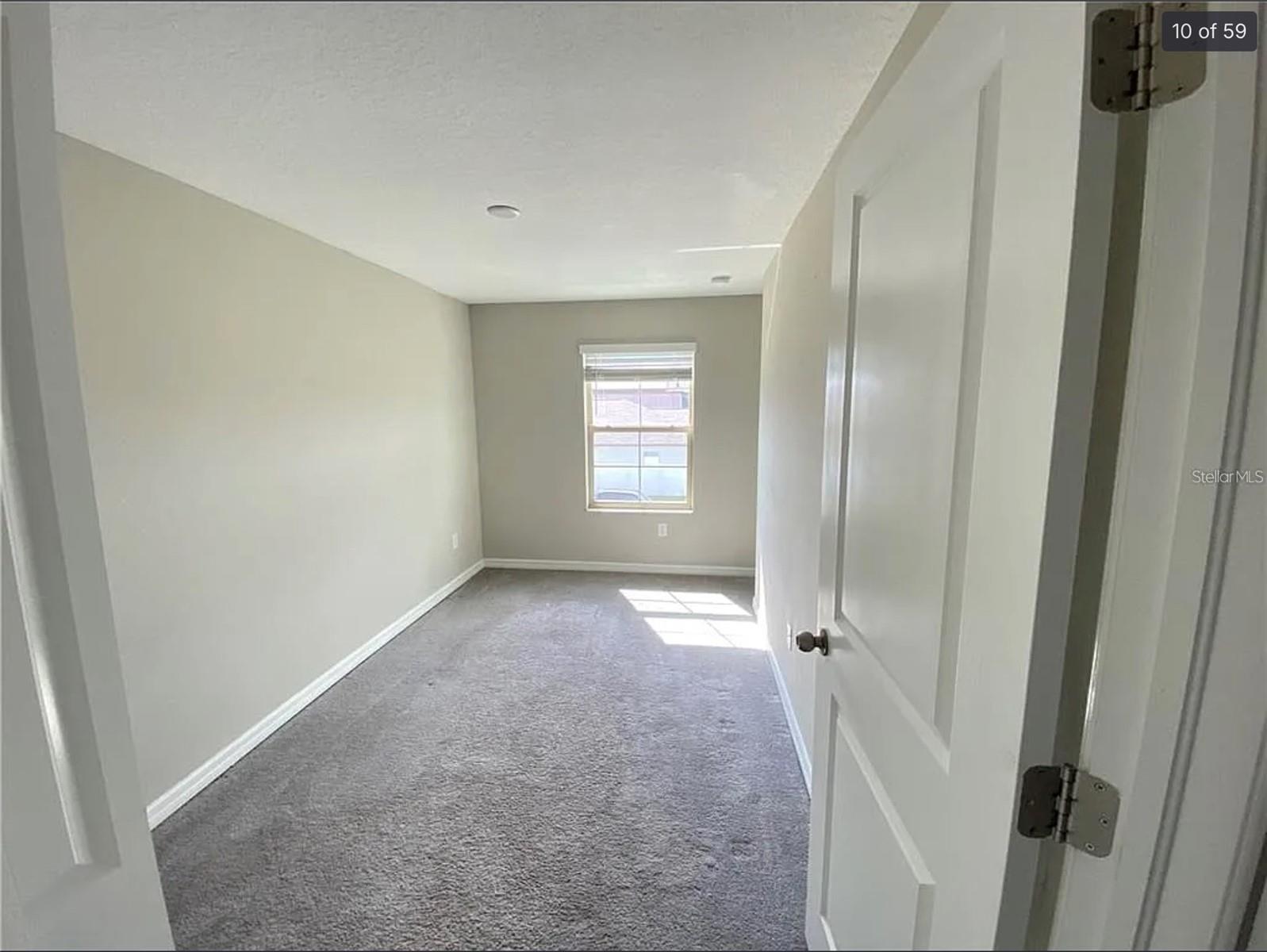 3810 CAT MINT ST, TAMPA, FL, 33619