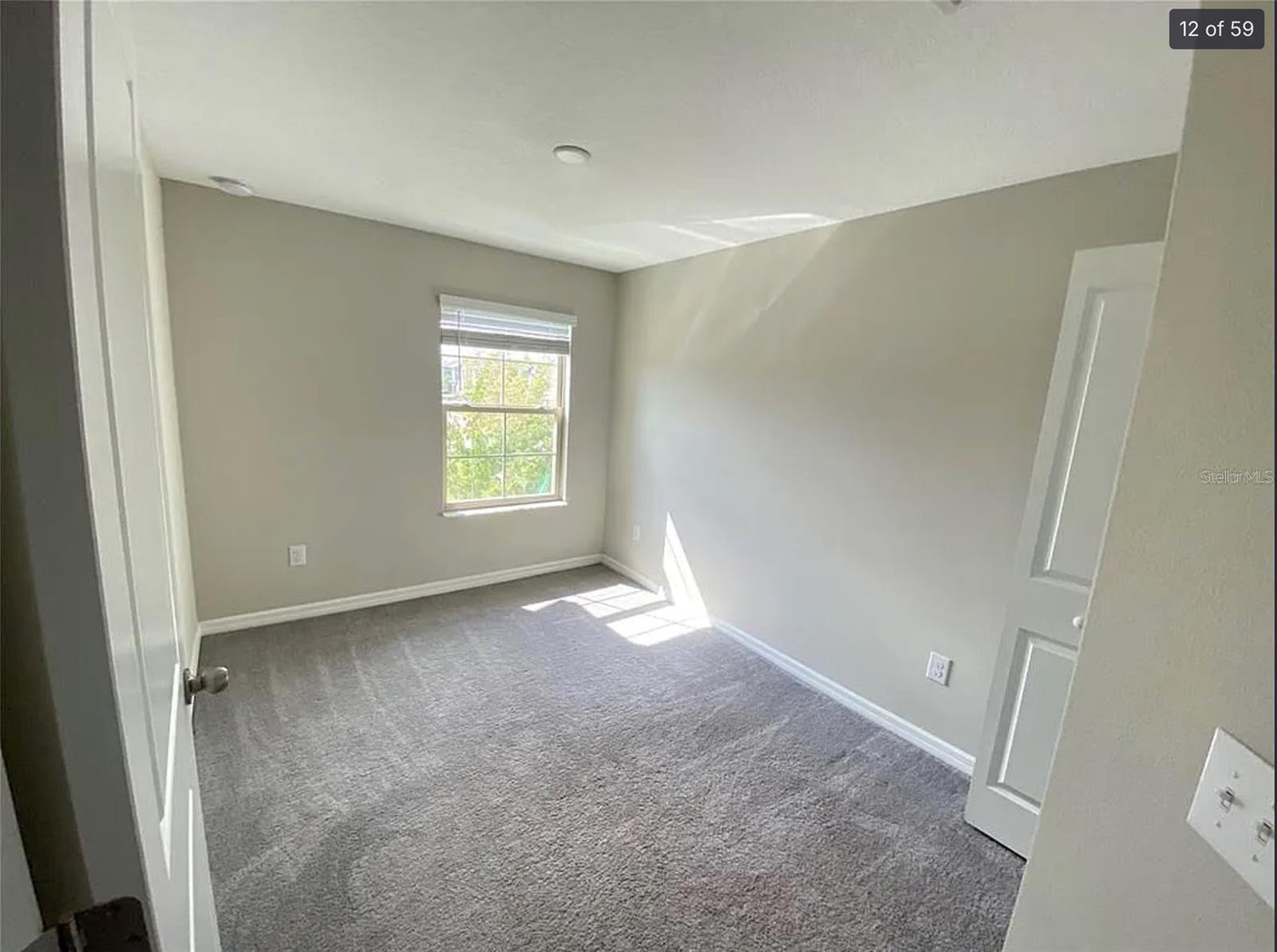 3810 CAT MINT ST, TAMPA, FL, 33619