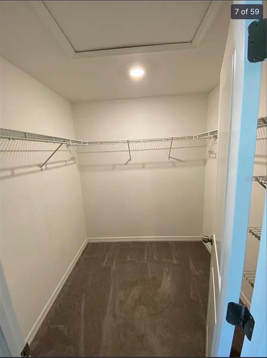 3810 CAT MINT ST, TAMPA, FL, 33619