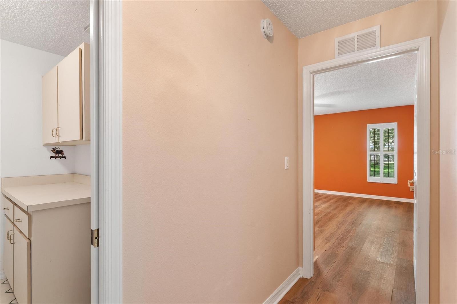 21905 KING ALFRED ST, LEESBURG, FL, 34748