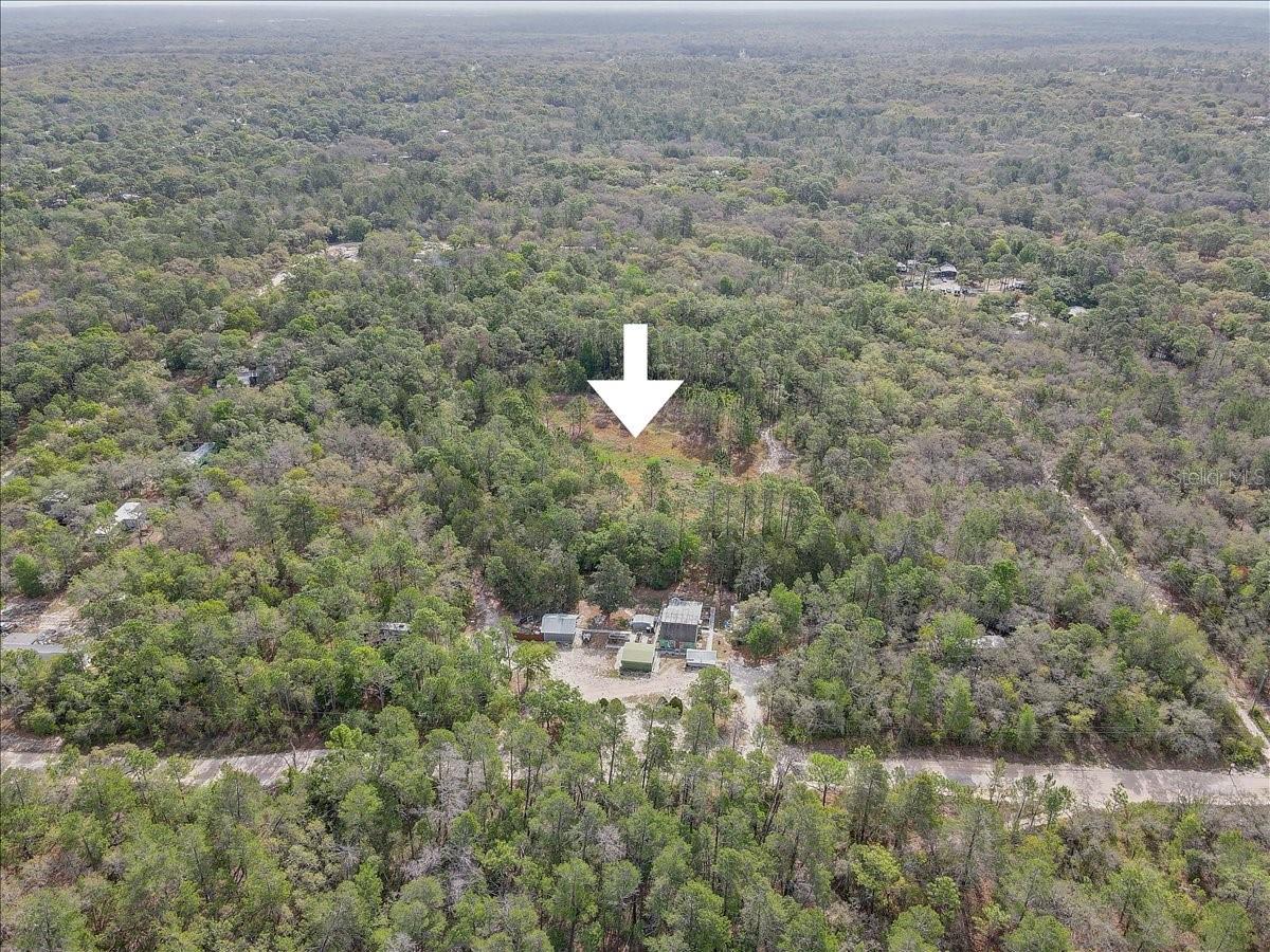 17528 COYOTE RD, HUDSON, FL, 34667