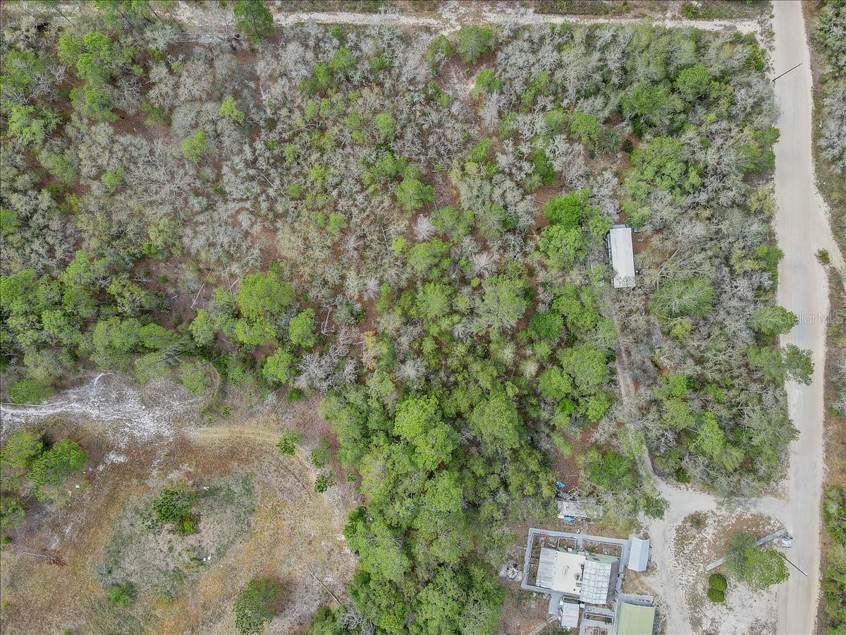 17528 COYOTE RD, HUDSON, FL, 34667