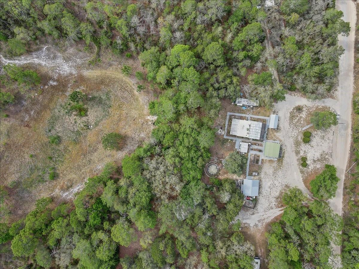 17528 COYOTE RD, HUDSON, FL, 34667