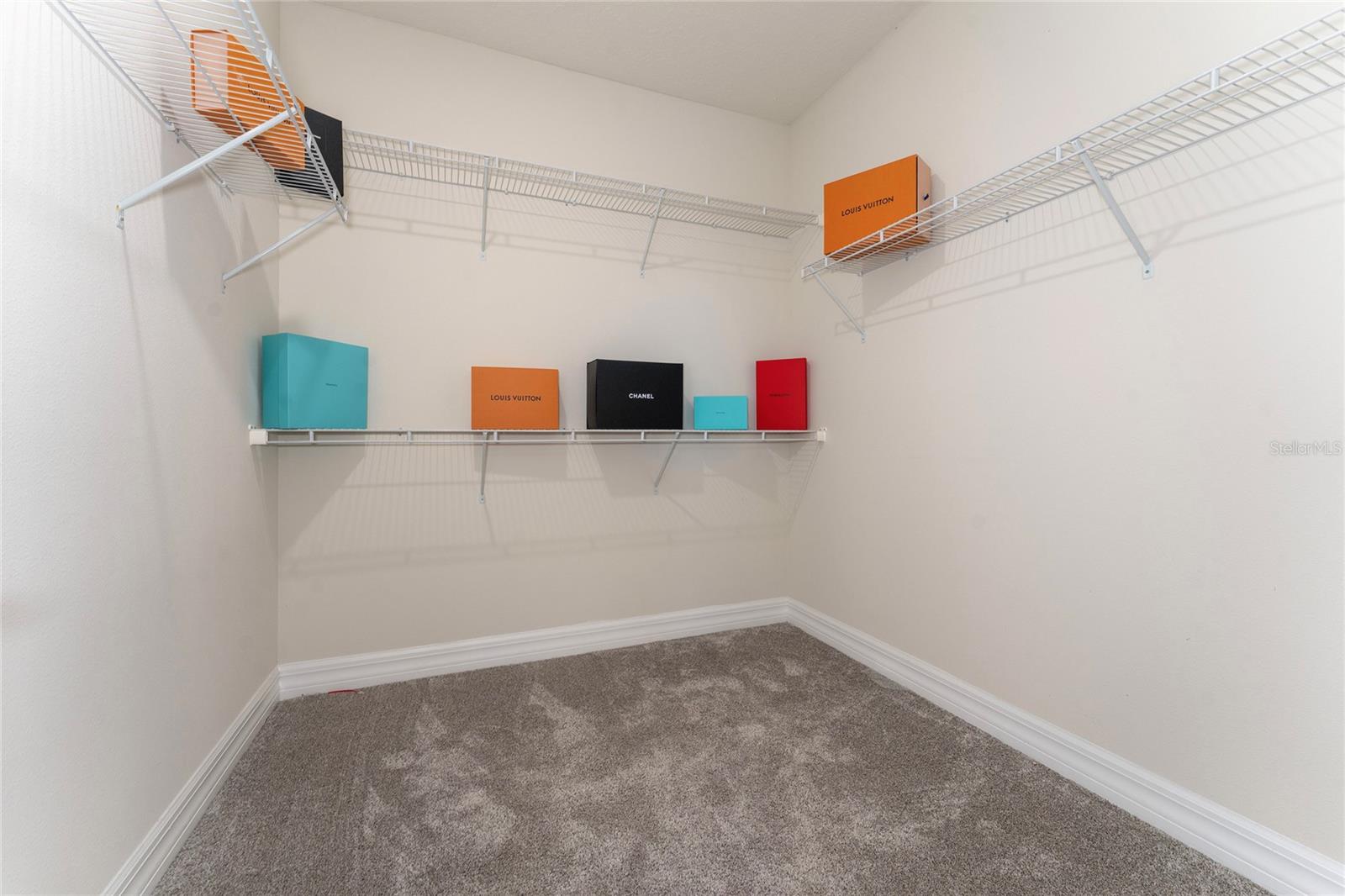 9242 HANGING VINE CT, ORLANDO, FL, 32836