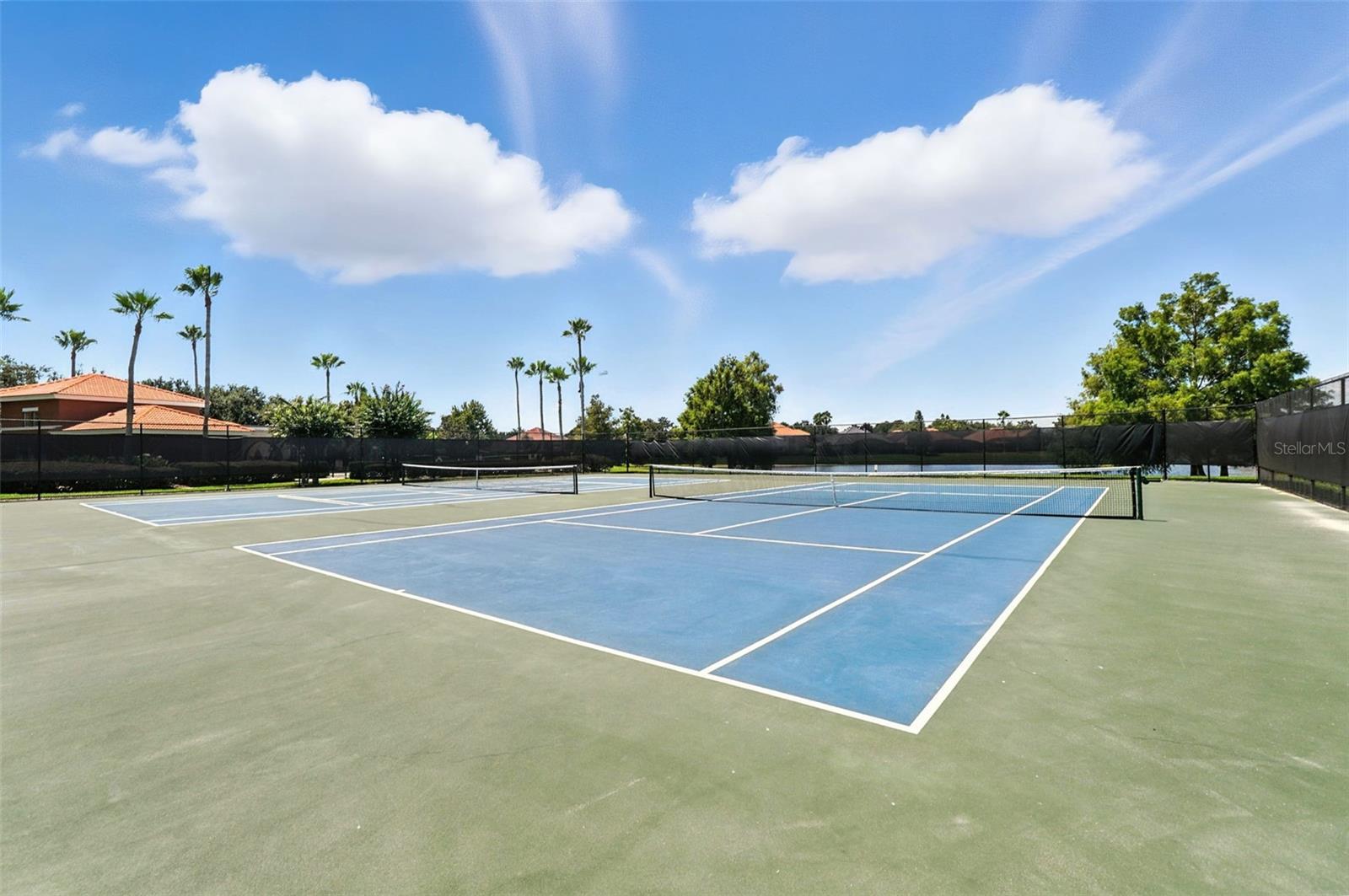 1028 LASCALA DR, WINDERMERE, FL, 34786