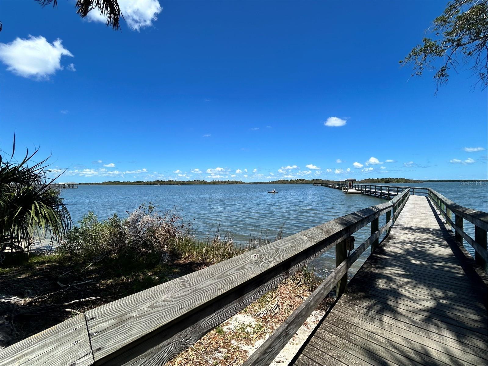 317 WATER LANDING DR, OAK HILL, FL, 32759