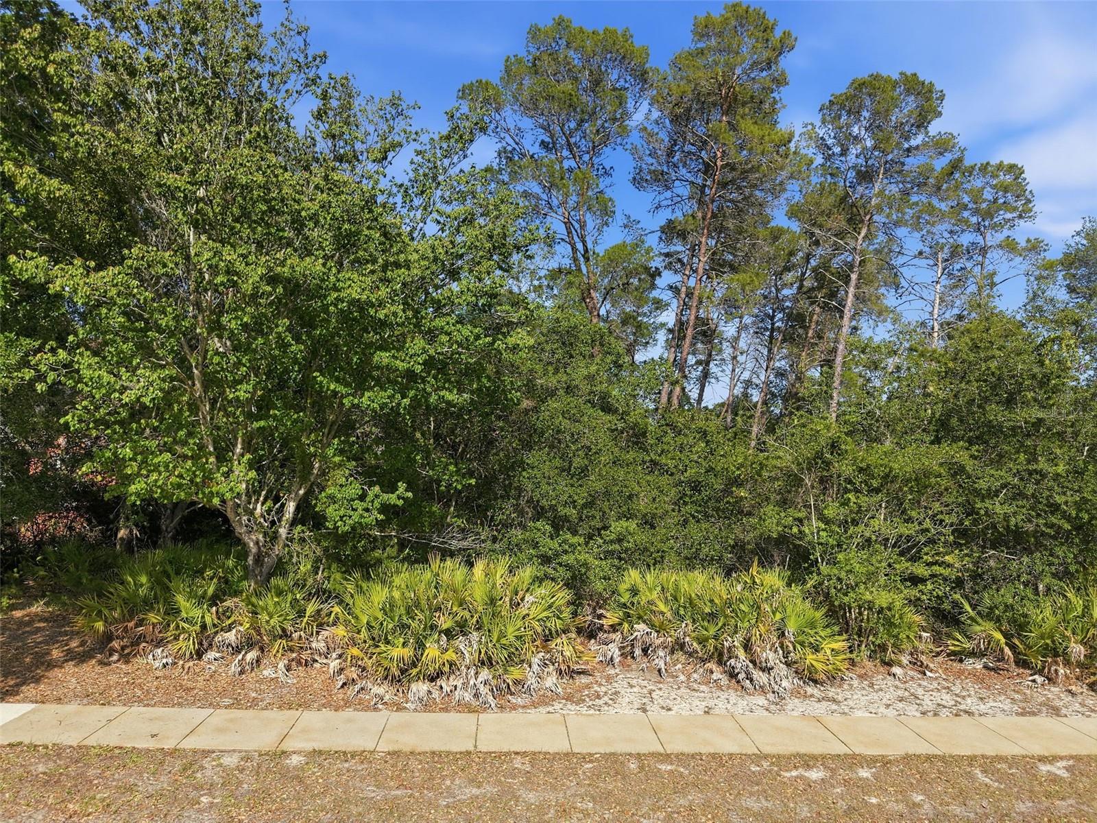 6134 WATERS WAY, WEEKI WACHEE, FL, 34607