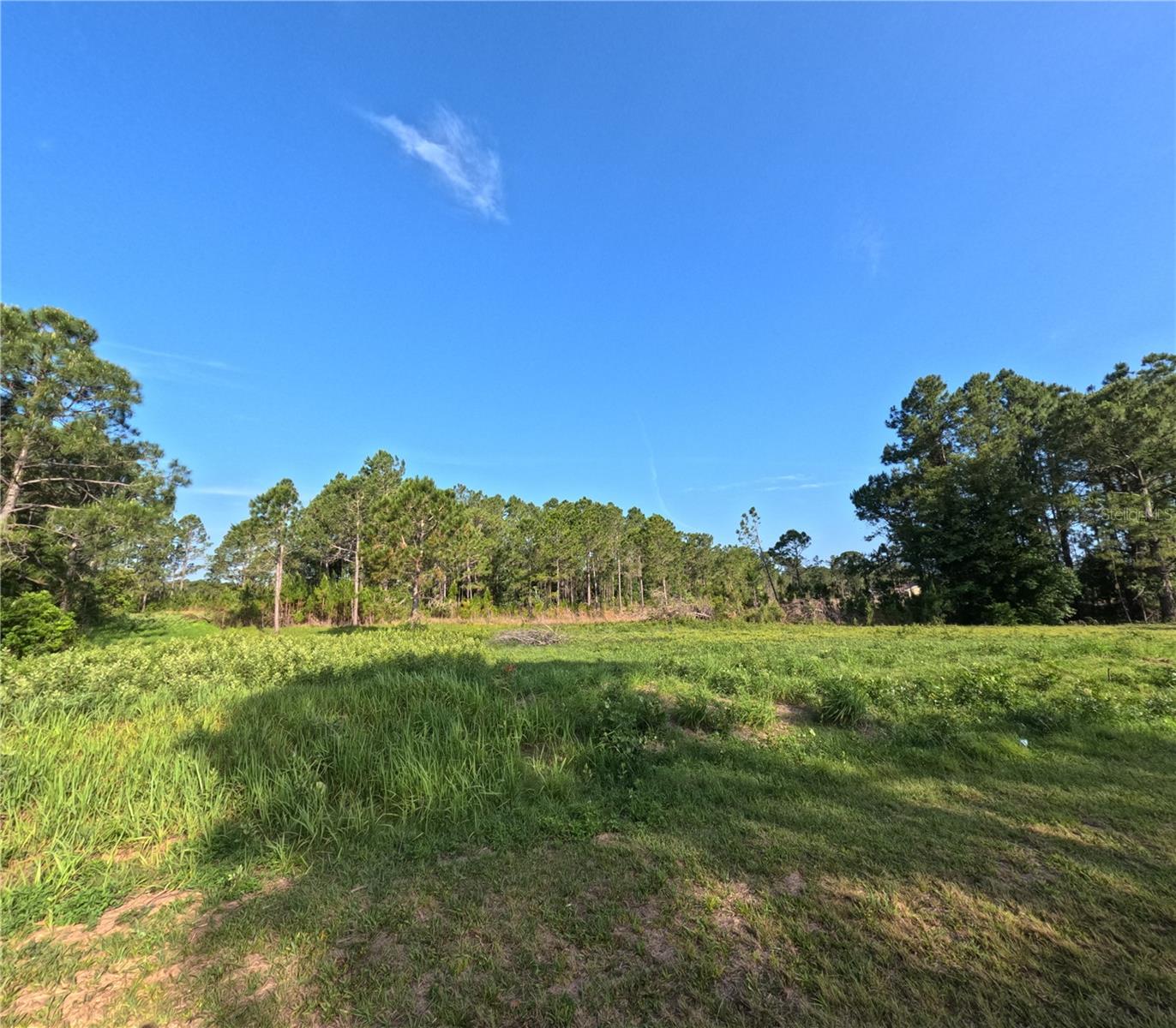 11031 ARROWTREE BLVD, CLERMONT, FL, 34715