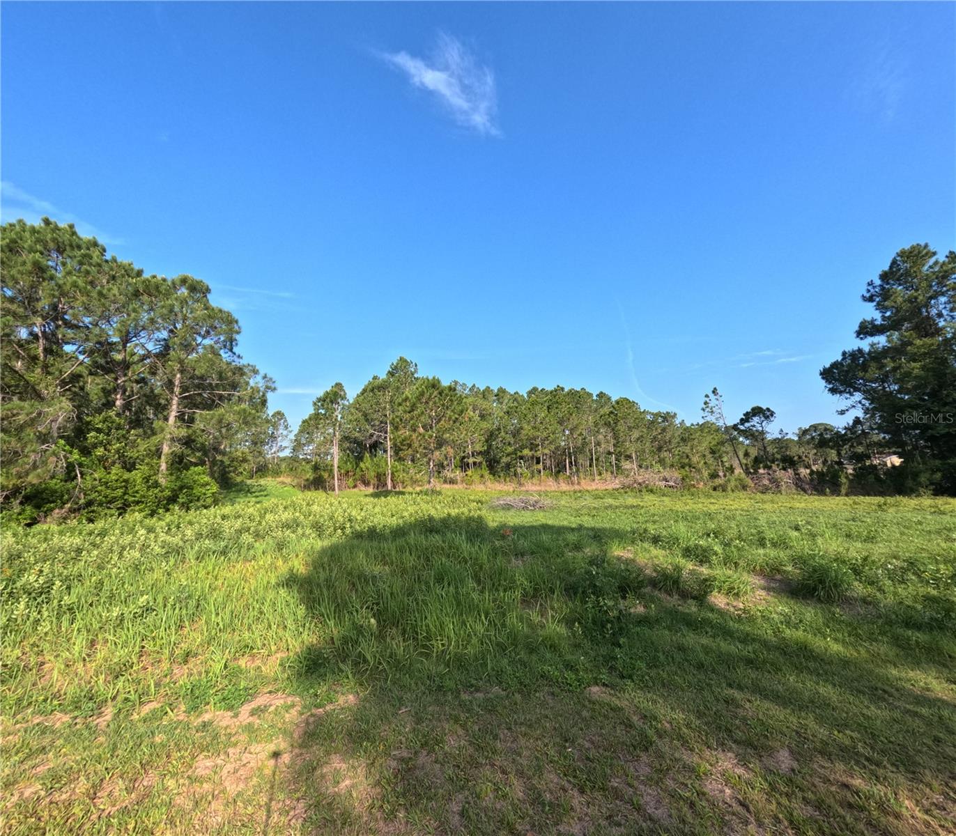 11031 ARROWTREE BLVD, CLERMONT, FL, 34715