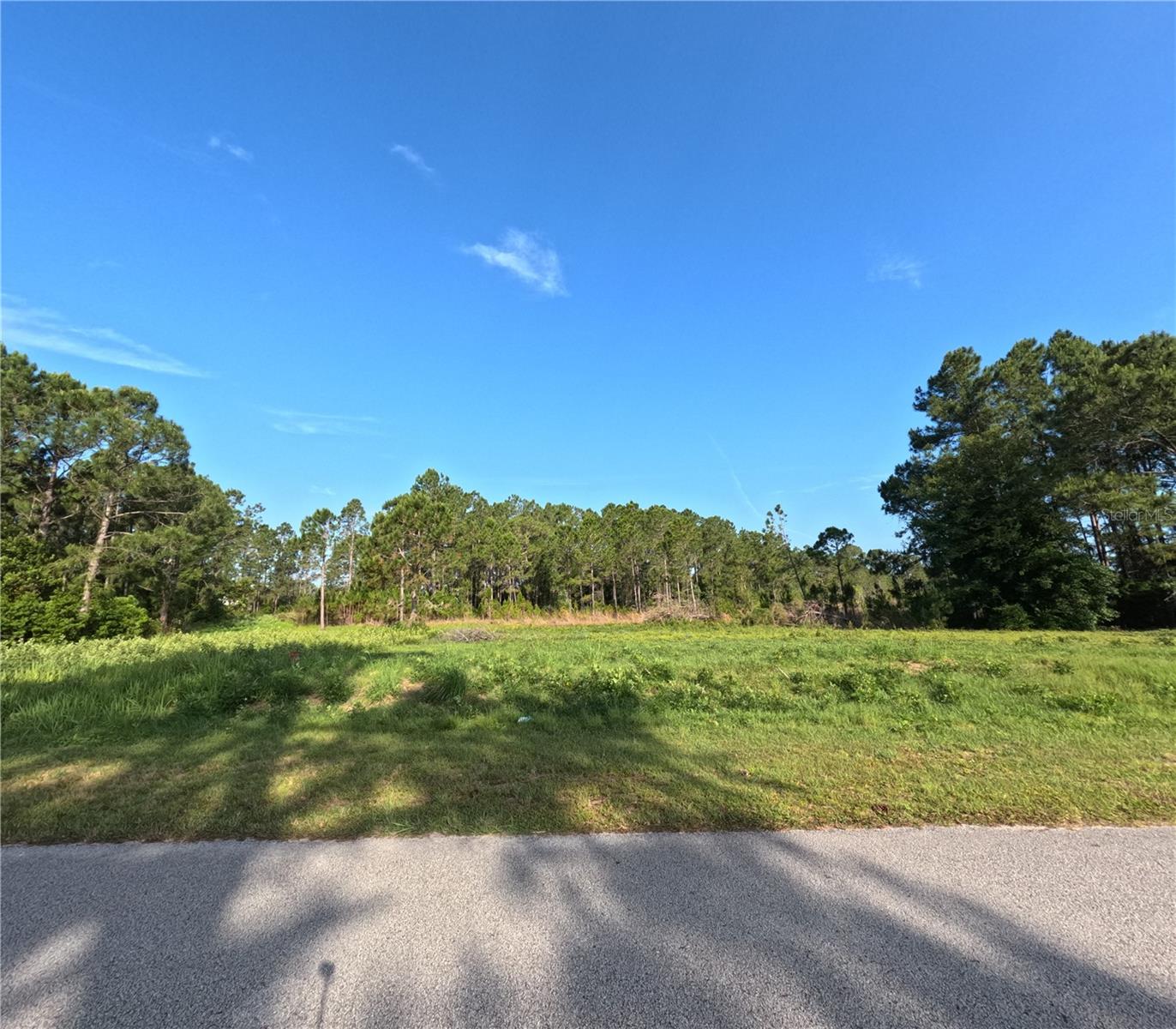 11031 ARROWTREE BLVD, CLERMONT, FL, 34715